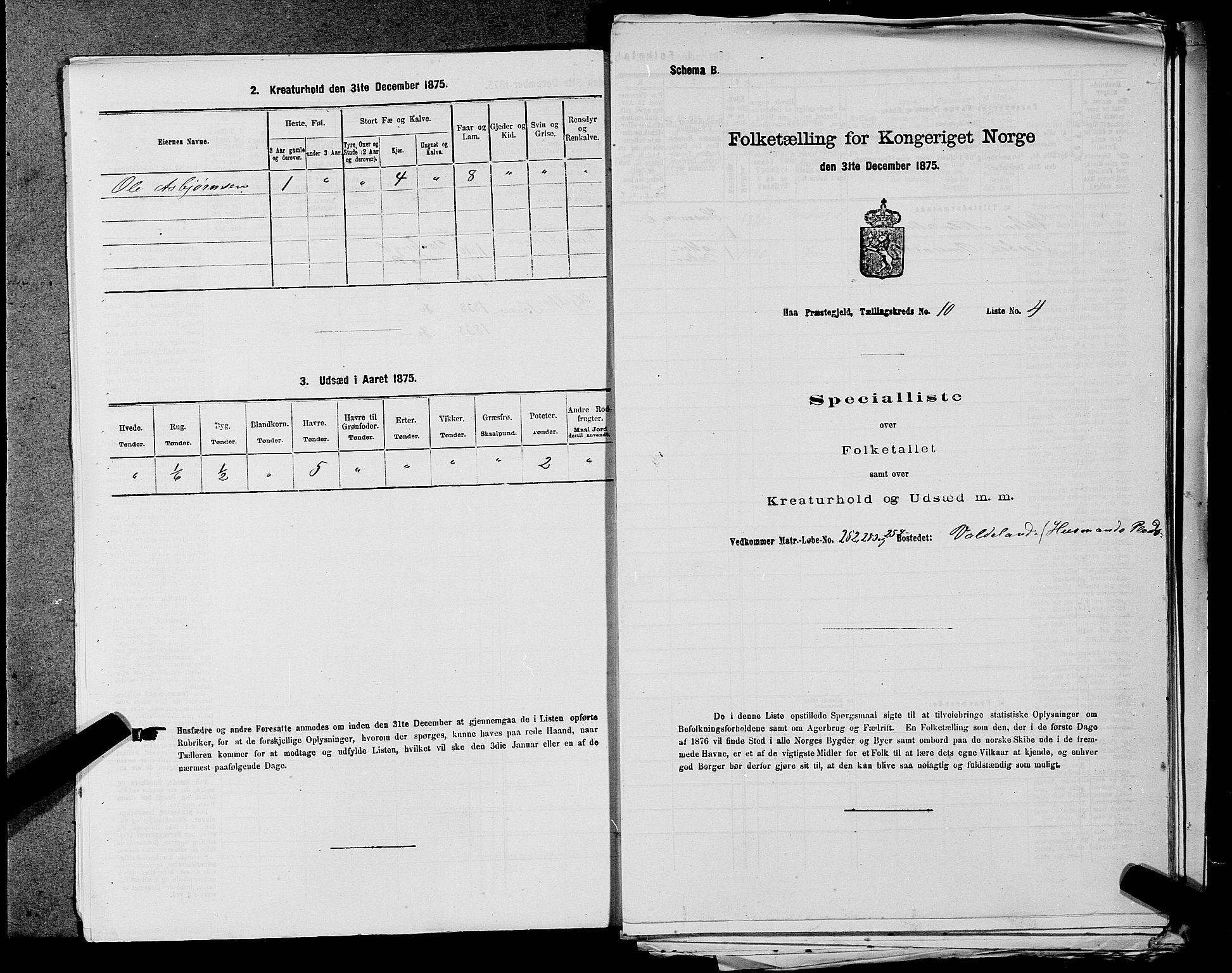 SAST, 1875 census for 1119P Hå, 1875, p. 1067