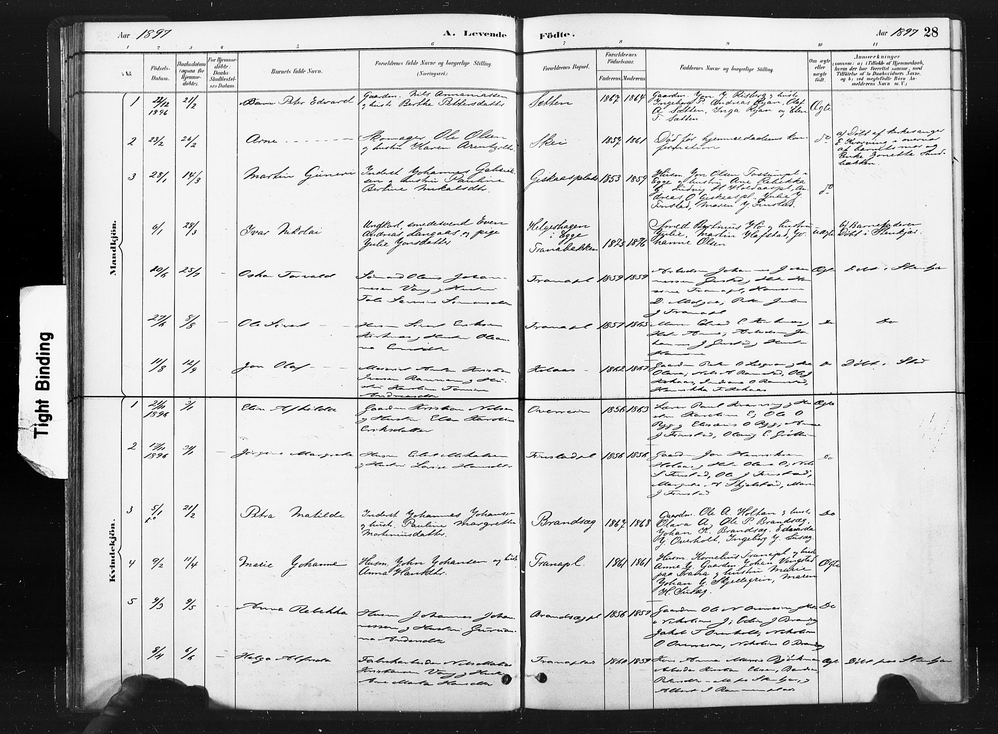 Ministerialprotokoller, klokkerbøker og fødselsregistre - Nord-Trøndelag, AV/SAT-A-1458/736/L0361: Parish register (official) no. 736A01, 1884-1906, p. 28