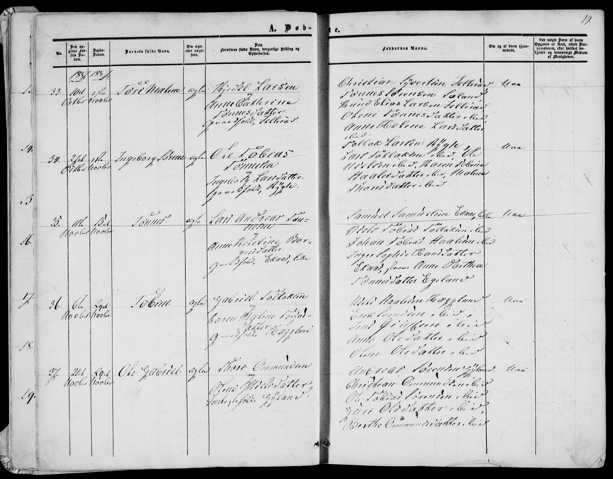 Bakke sokneprestkontor, AV/SAK-1111-0002/F/Fa/Fab/L0002: Parish register (official) no. A 2, 1855-1884, p. 19