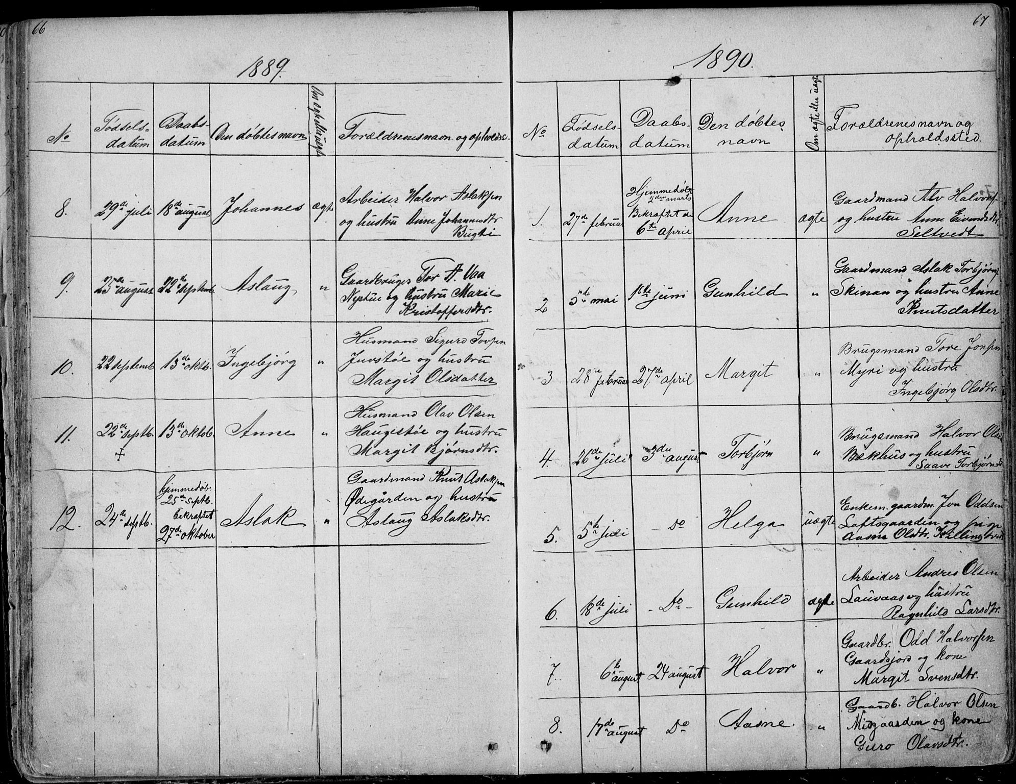 Rauland kirkebøker, SAKO/A-292/G/Ga/L0002: Parish register (copy) no. I 2, 1849-1935, p. 66-67