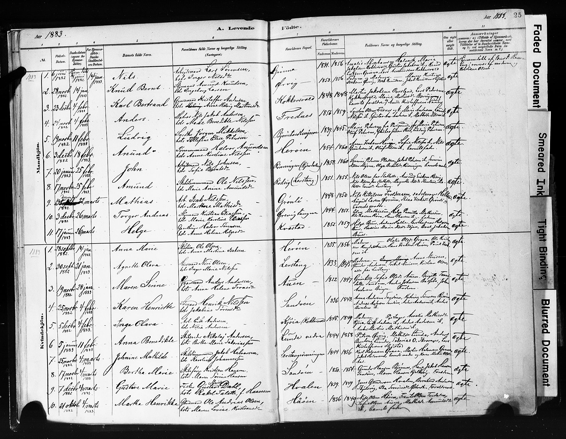 Eidanger kirkebøker, SAKO/A-261/F/Fa/L0012: Parish register (official) no. 12, 1879-1900, p. 25