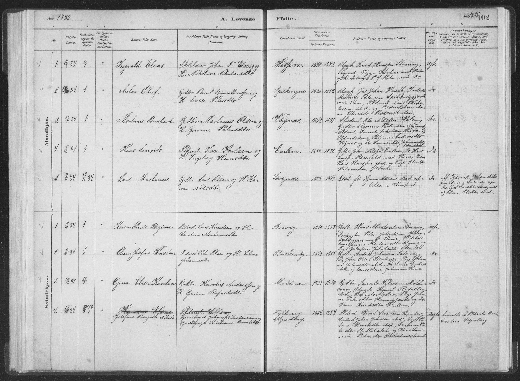 Ministerialprotokoller, klokkerbøker og fødselsregistre - Møre og Romsdal, AV/SAT-A-1454/528/L0401: Parish register (official) no. 528A12I, 1880-1920, p. 102