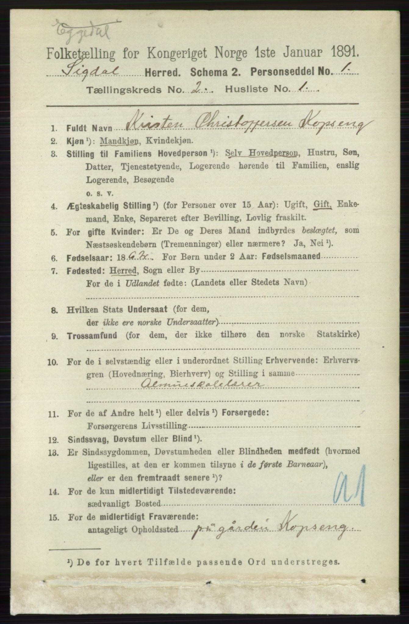 RA, 1891 census for 0621 Sigdal, 1891, p. 954