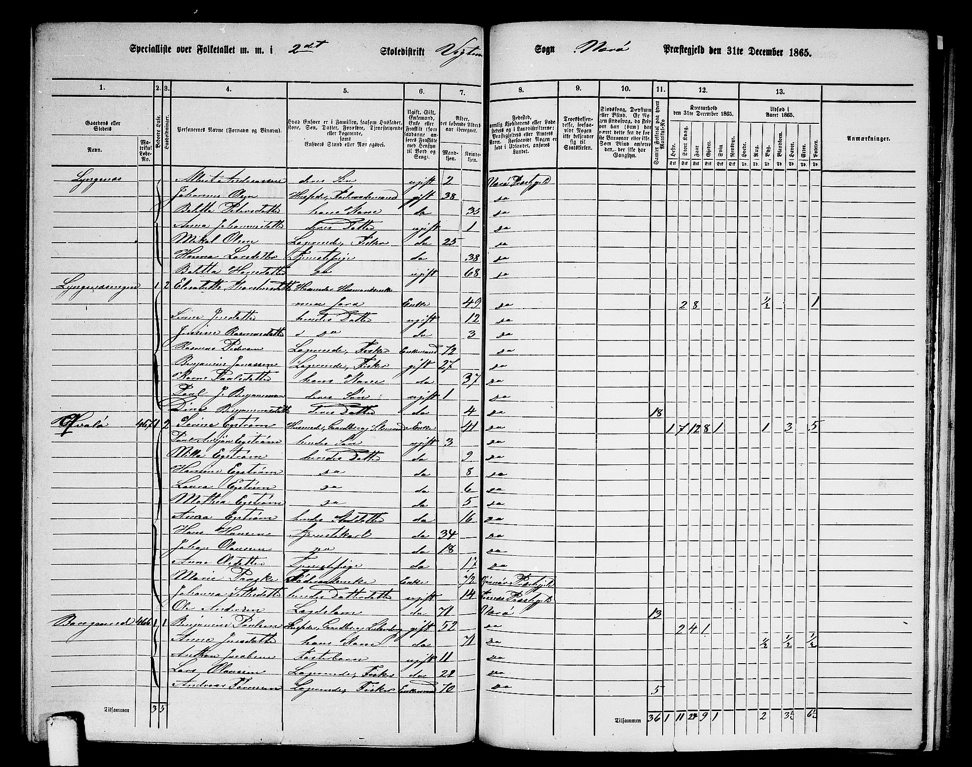 RA, 1865 census for Nærøy, 1865, p. 129