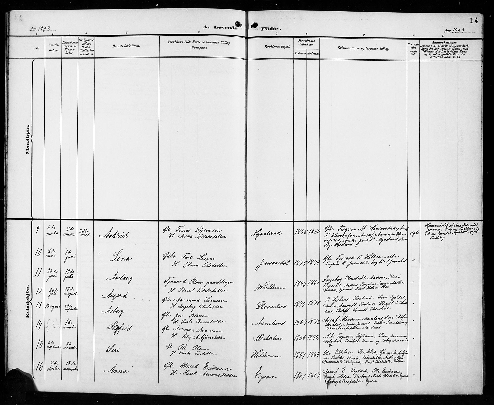 Åseral sokneprestkontor, AV/SAK-1111-0051/F/Fb/L0003: Parish register (copy) no. B 3, 1900-1919, p. 14