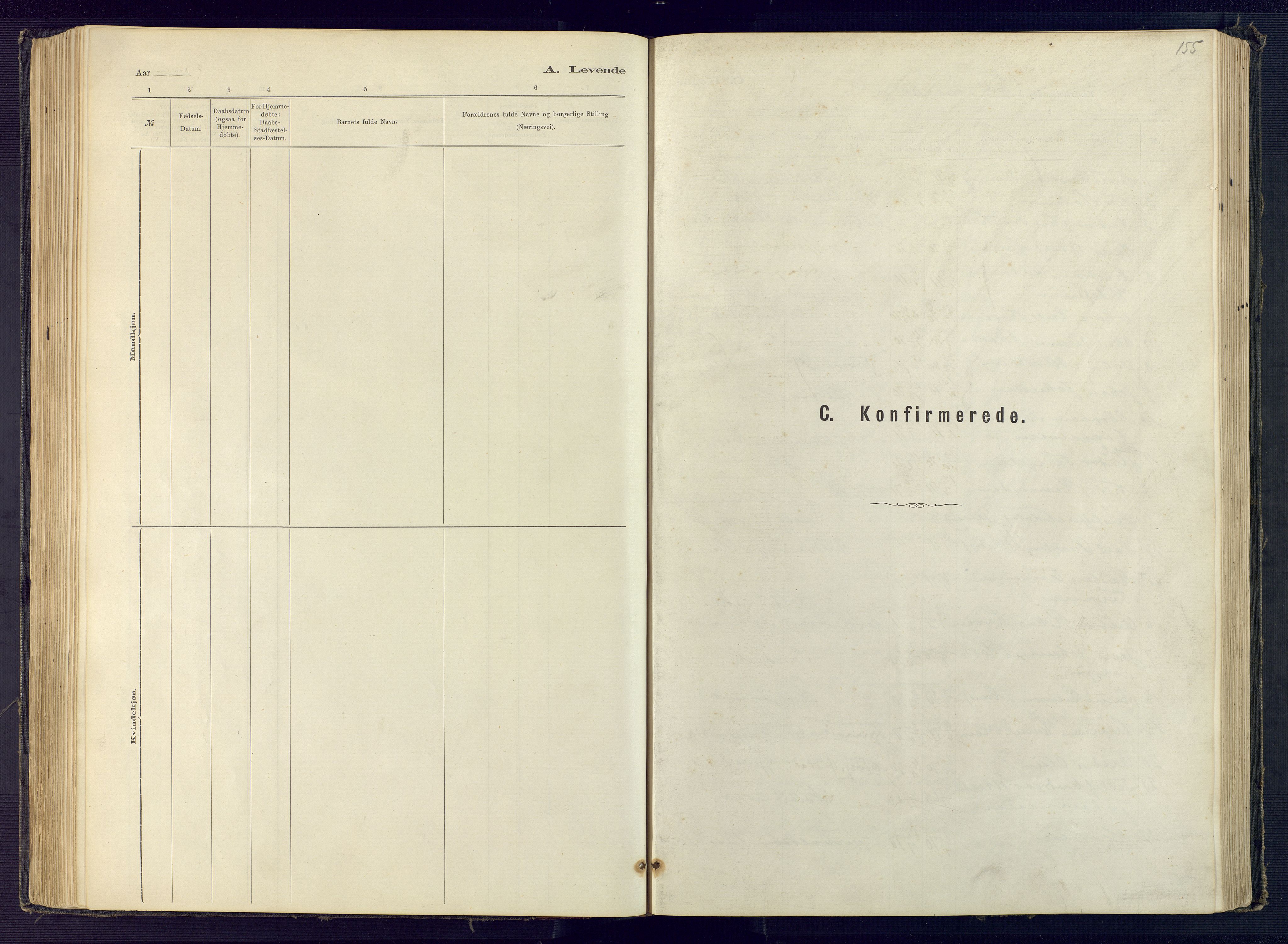 Hisøy sokneprestkontor, SAK/1111-0020/F/Fb/L0003: Parish register (copy) no. B 3, 1885-1905, p. 155
