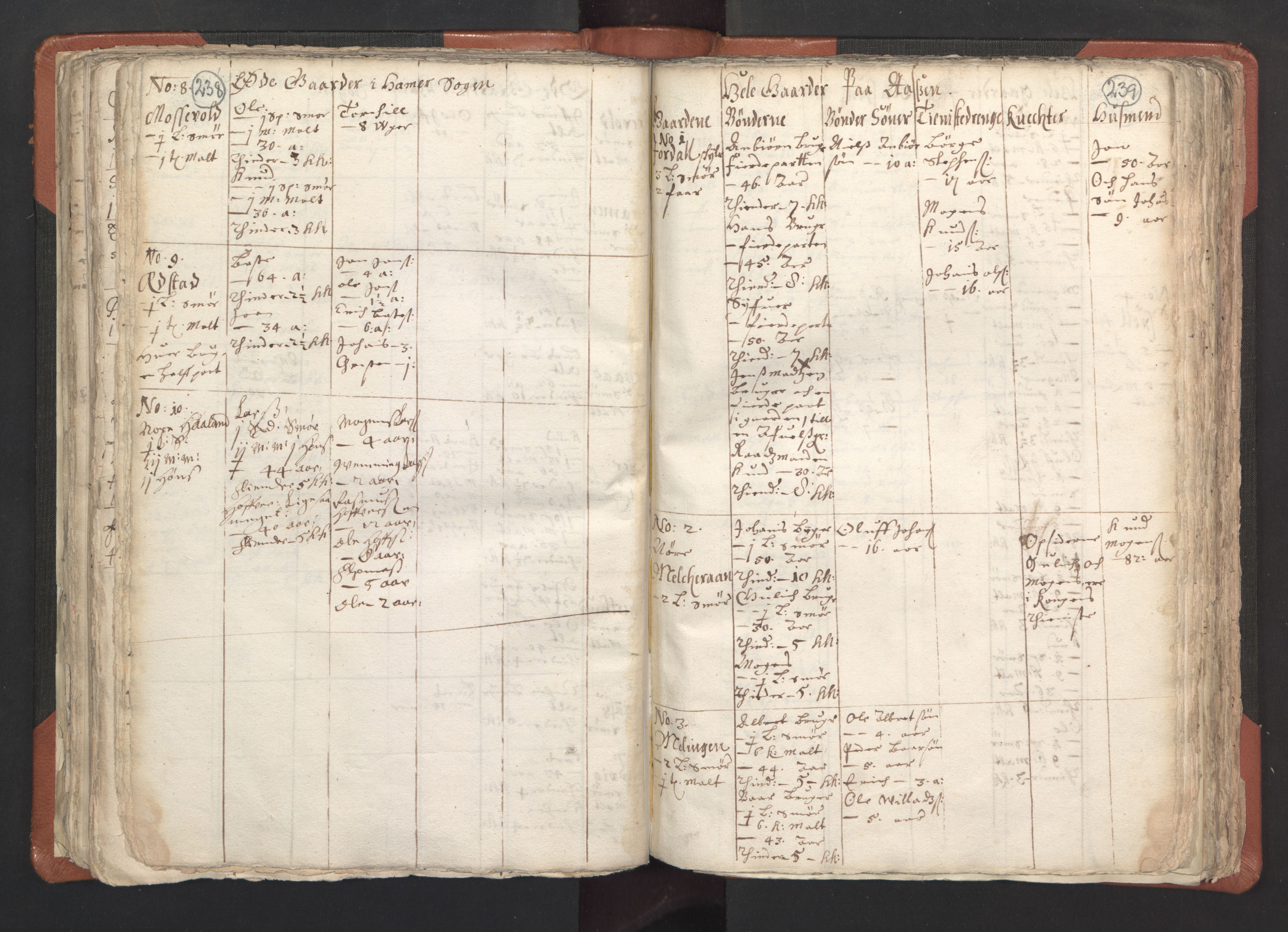 RA, Vicar's Census 1664-1666, no. 22: Nordhordland deanery, 1664-1666, p. 238-239