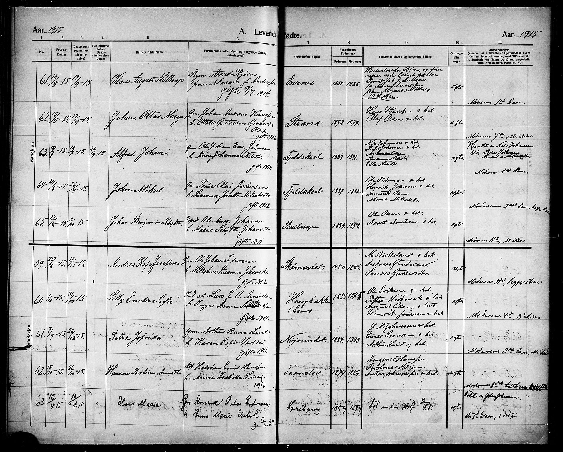 Ministerialprotokoller, klokkerbøker og fødselsregistre - Nordland, AV/SAT-A-1459/863/L0916: Parish register (copy) no. 863C06, 1907-1921