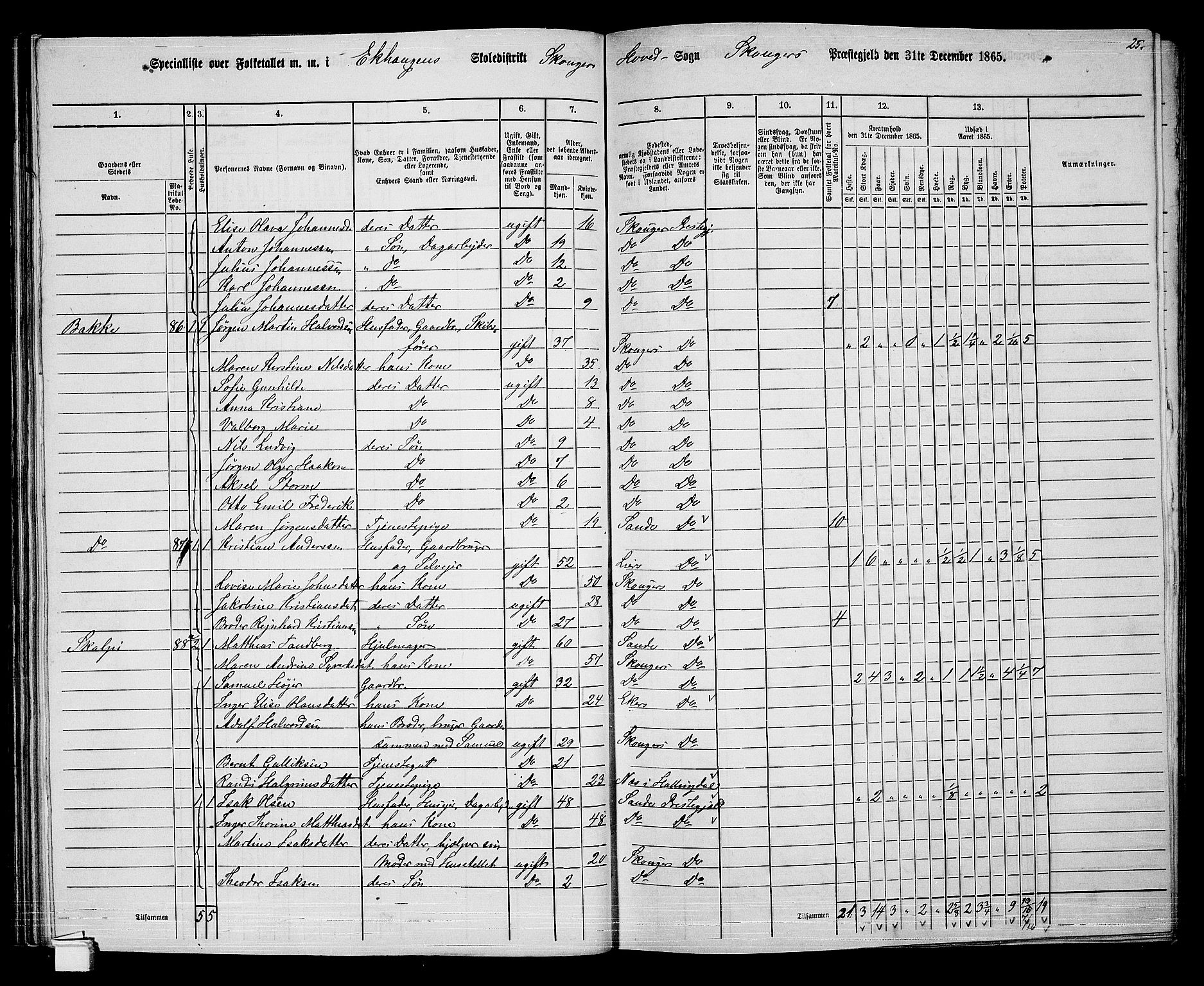 RA, 1865 census for Skoger, 1865, p. 67