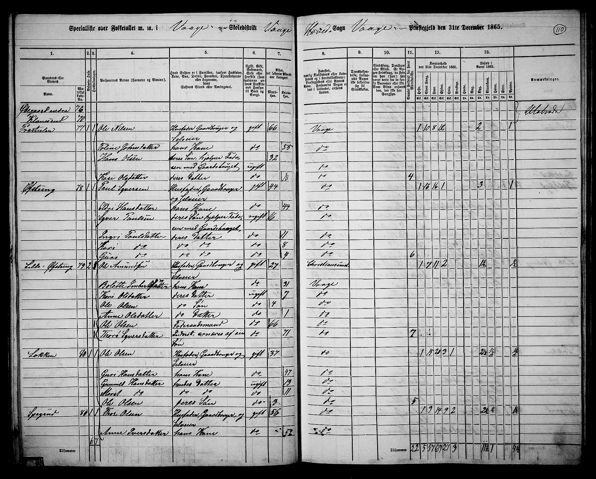 RA, 1865 census for Vågå, 1865, p. 106