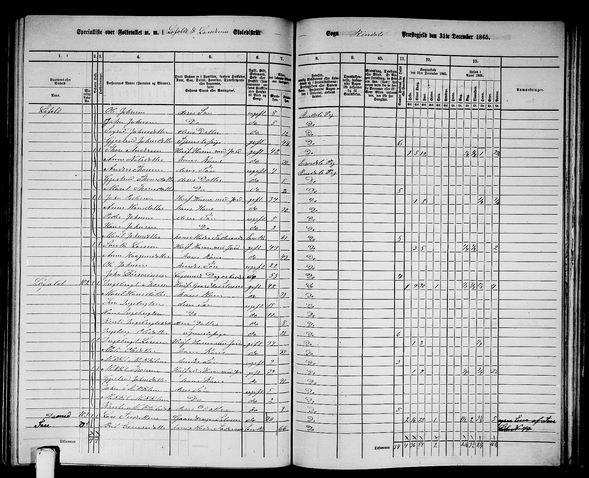 RA, 1865 census for Rindal, 1865, p. 54