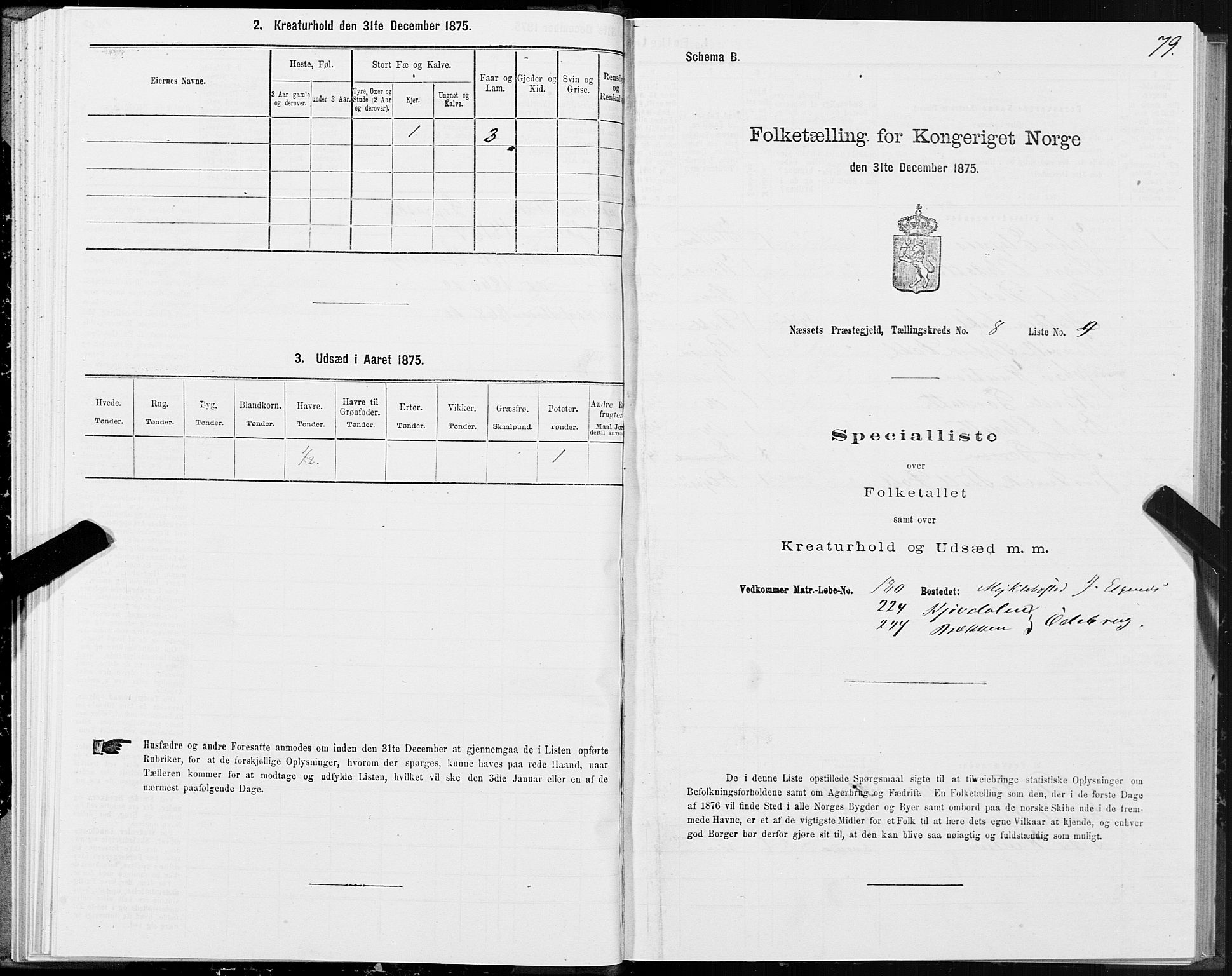 SAT, 1875 census for 1543P Nesset, 1875, p. 4079