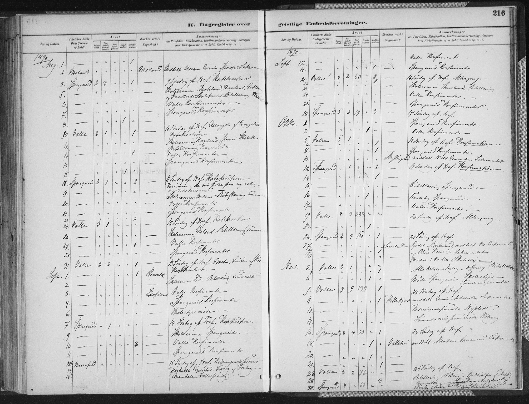 Sør-Audnedal sokneprestkontor, SAK/1111-0039/F/Fa/Faa/L0004: Parish register (official) no. A 4, 1884-1909, p. 216