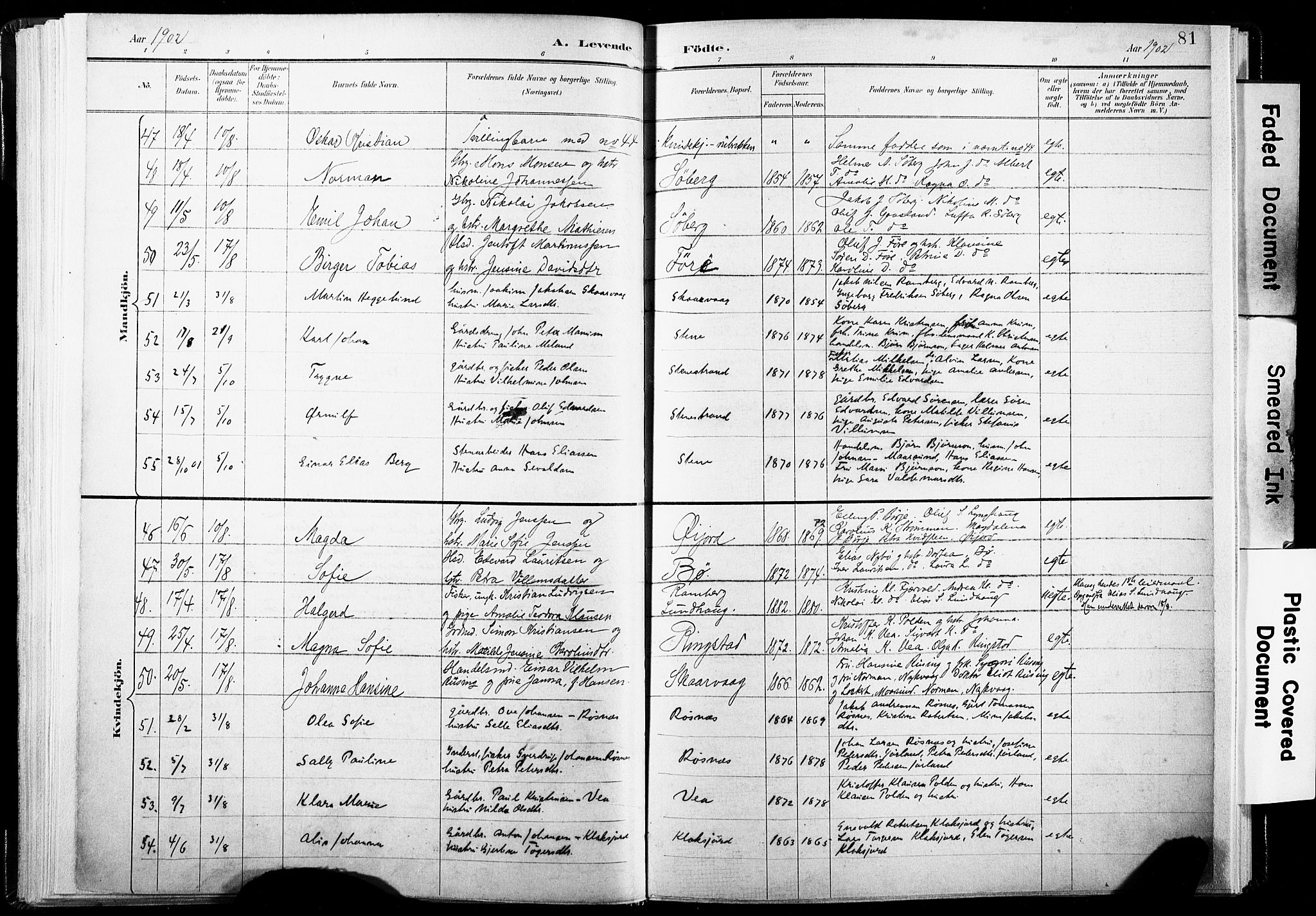 Ministerialprotokoller, klokkerbøker og fødselsregistre - Nordland, AV/SAT-A-1459/891/L1304: Parish register (official) no. 891A09, 1895-1921, p. 81