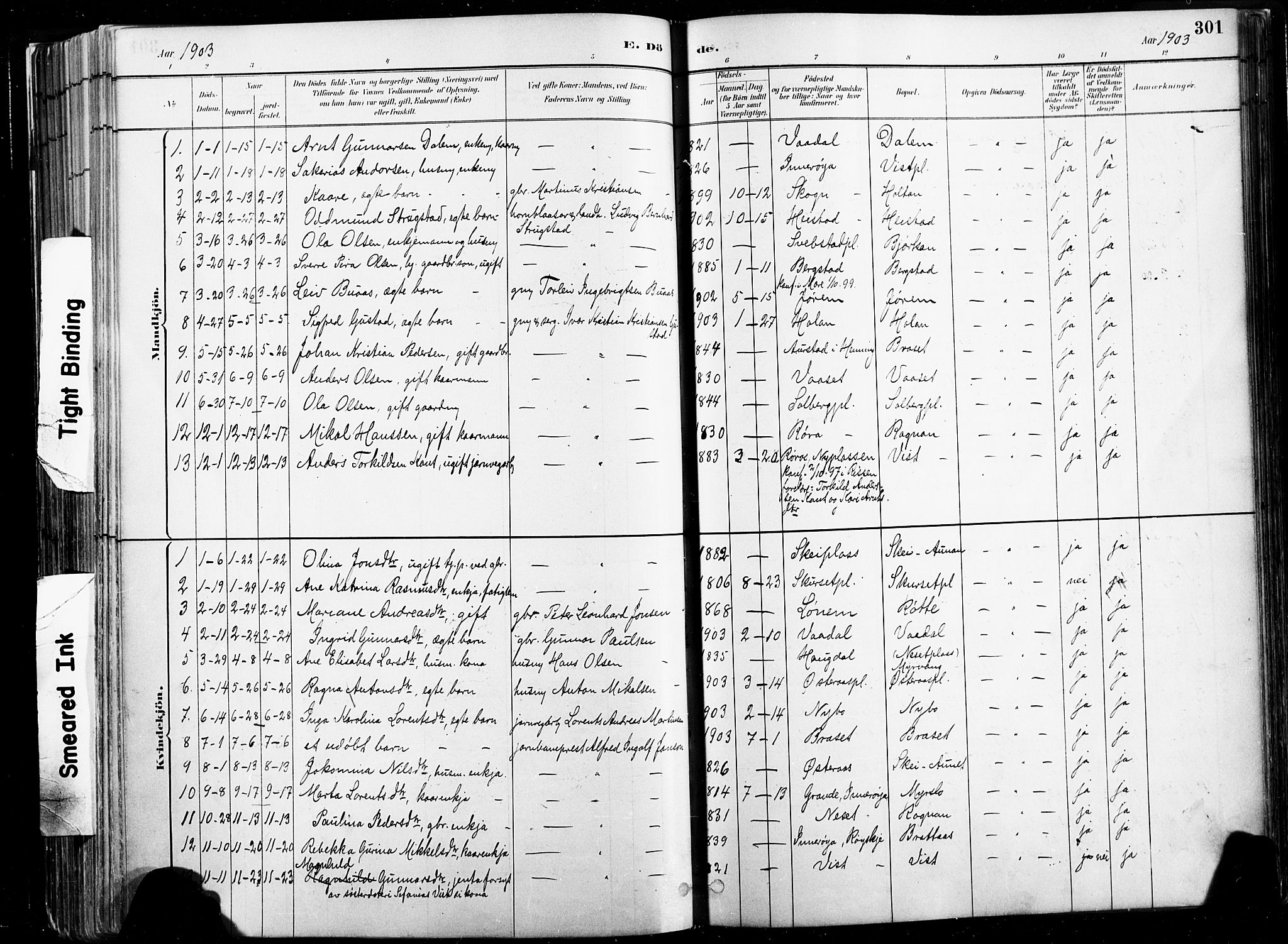 Ministerialprotokoller, klokkerbøker og fødselsregistre - Nord-Trøndelag, AV/SAT-A-1458/735/L0351: Parish register (official) no. 735A10, 1884-1908, p. 301