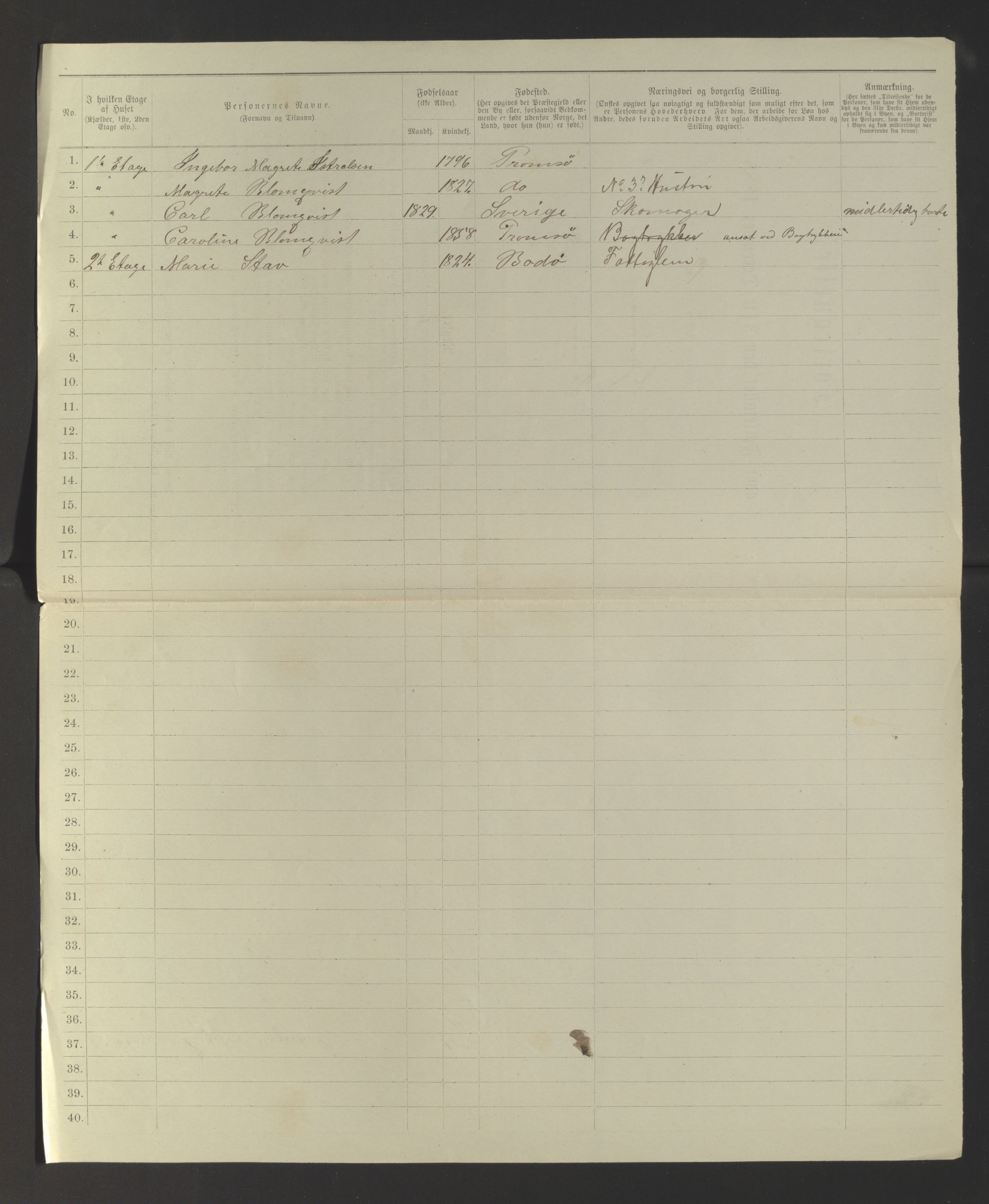 SATØ, 1885 census for 1902 Tromsø, 1885, p. 100b