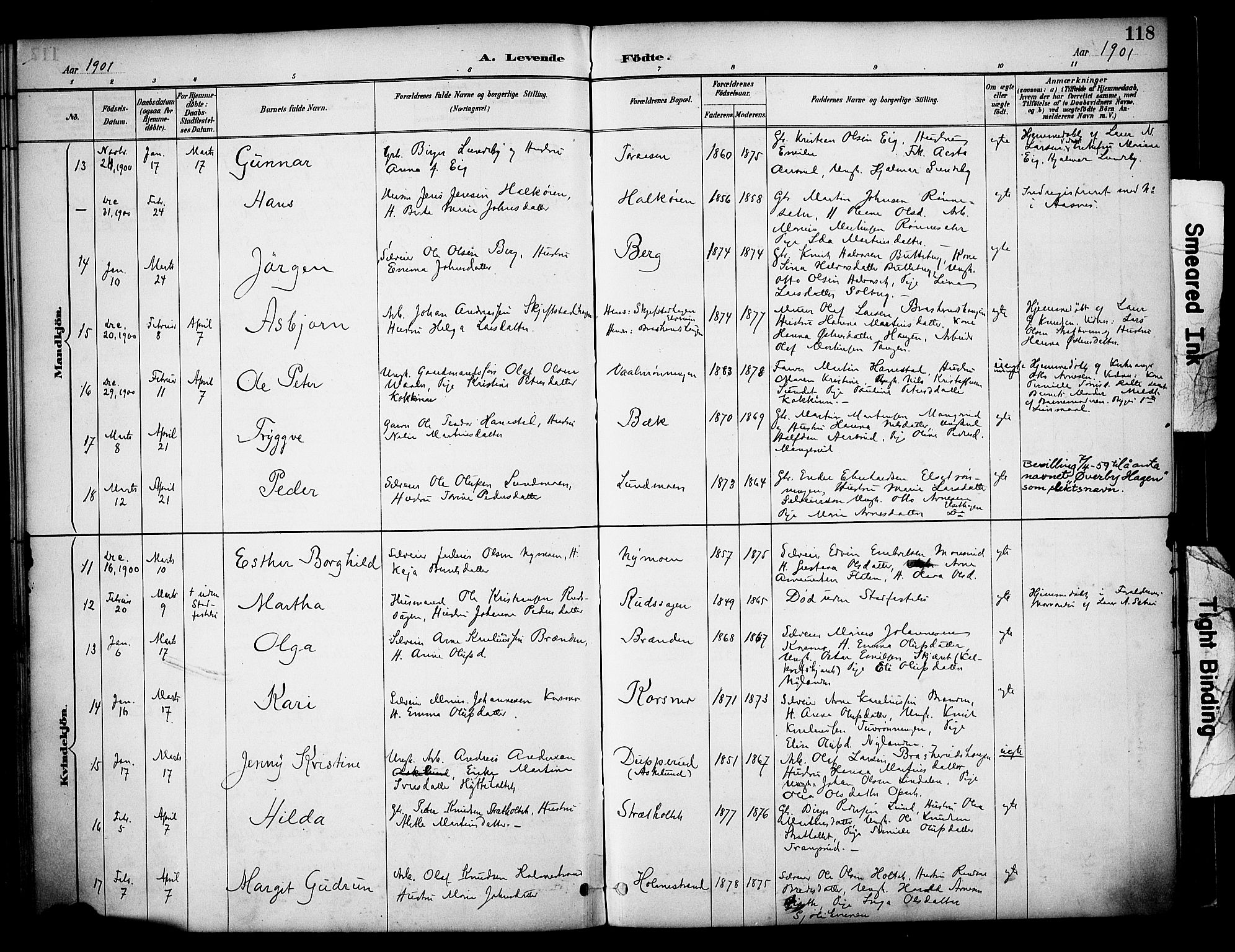 Våler prestekontor, Hedmark, AV/SAH-PREST-040/H/Ha/Haa/L0005: Parish register (official) no. 5, 1887-1905, p. 118