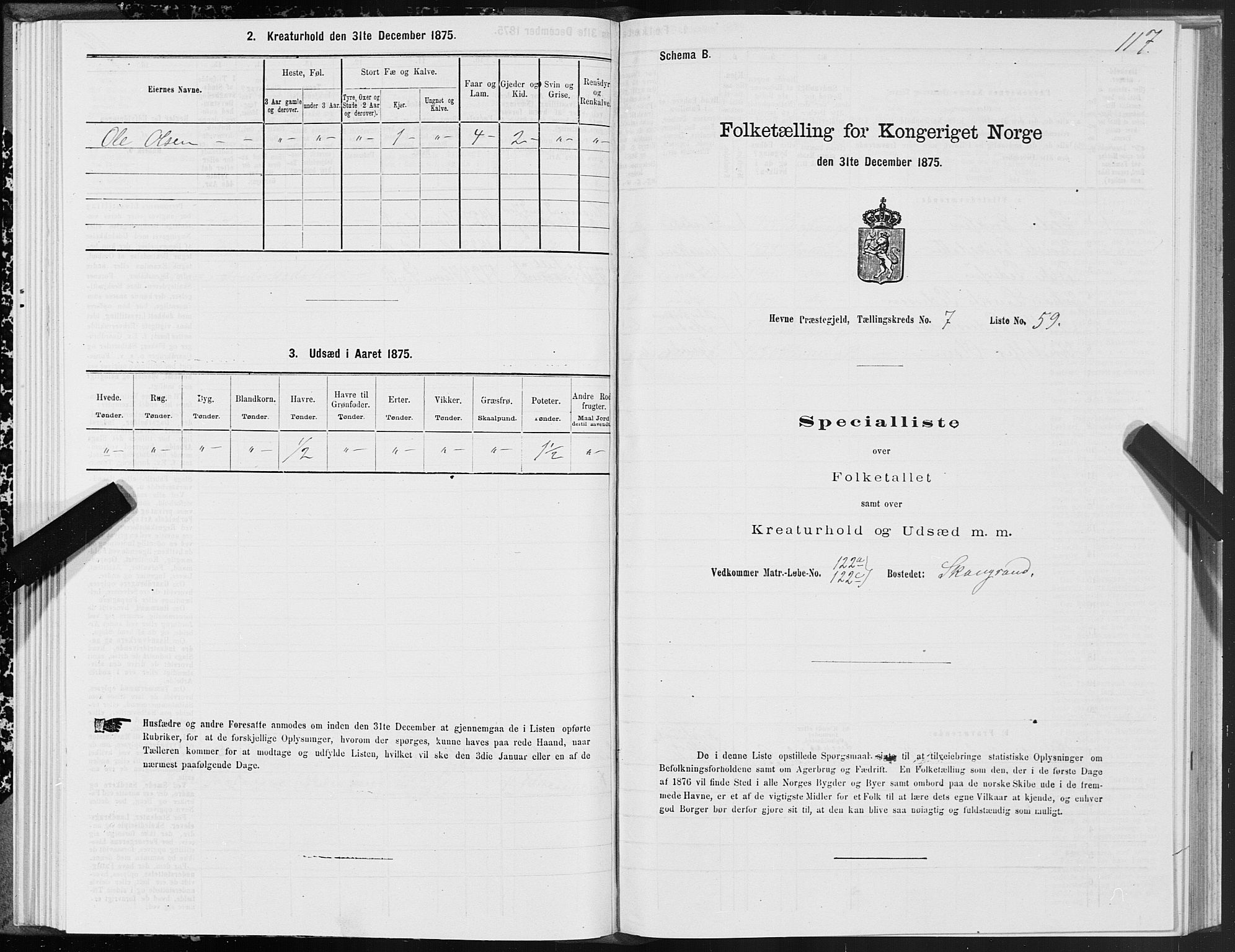 SAT, 1875 census for 1612P Hemne, 1875, p. 4117