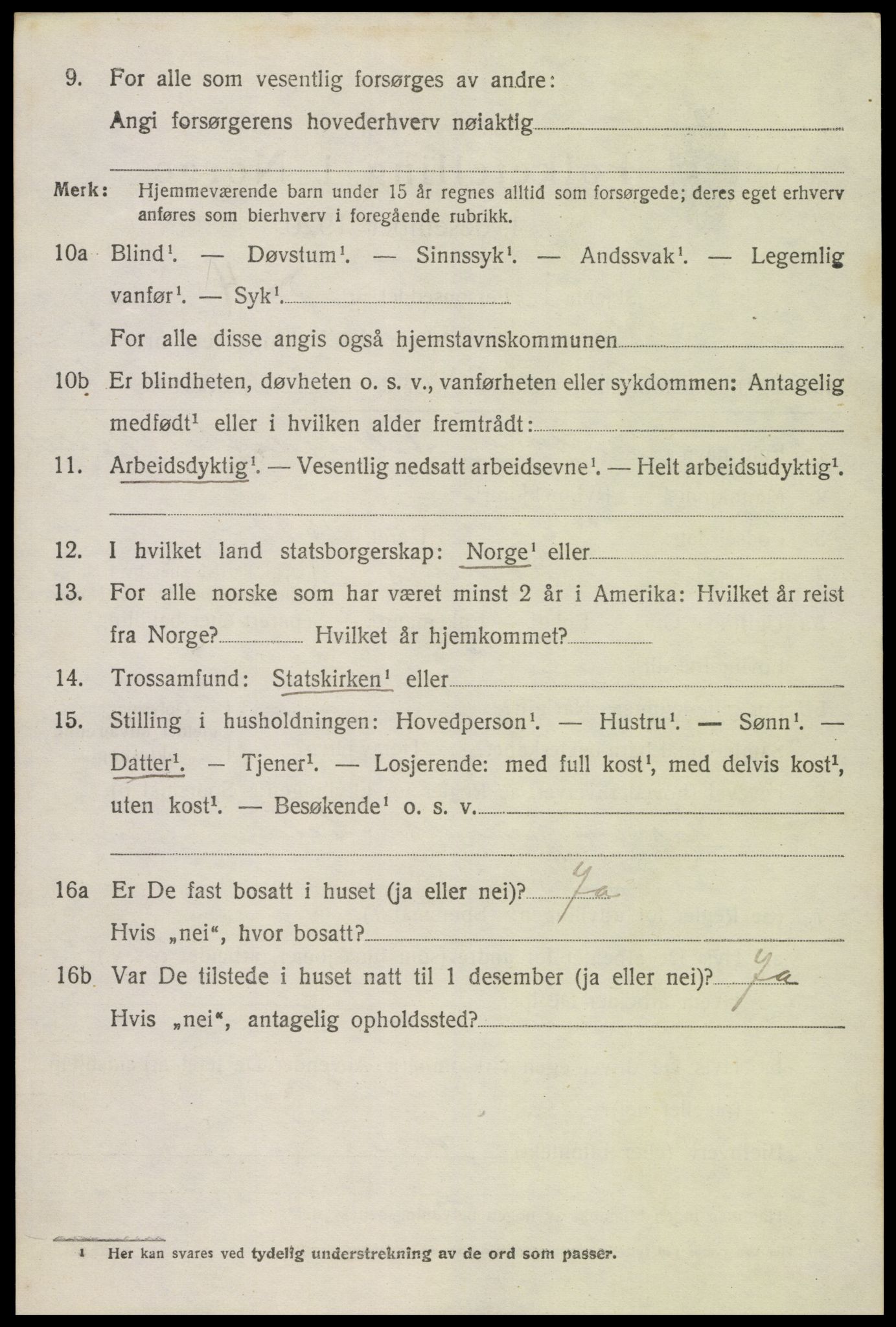 SAK, 1920 census for Hornnes, 1920, p. 800