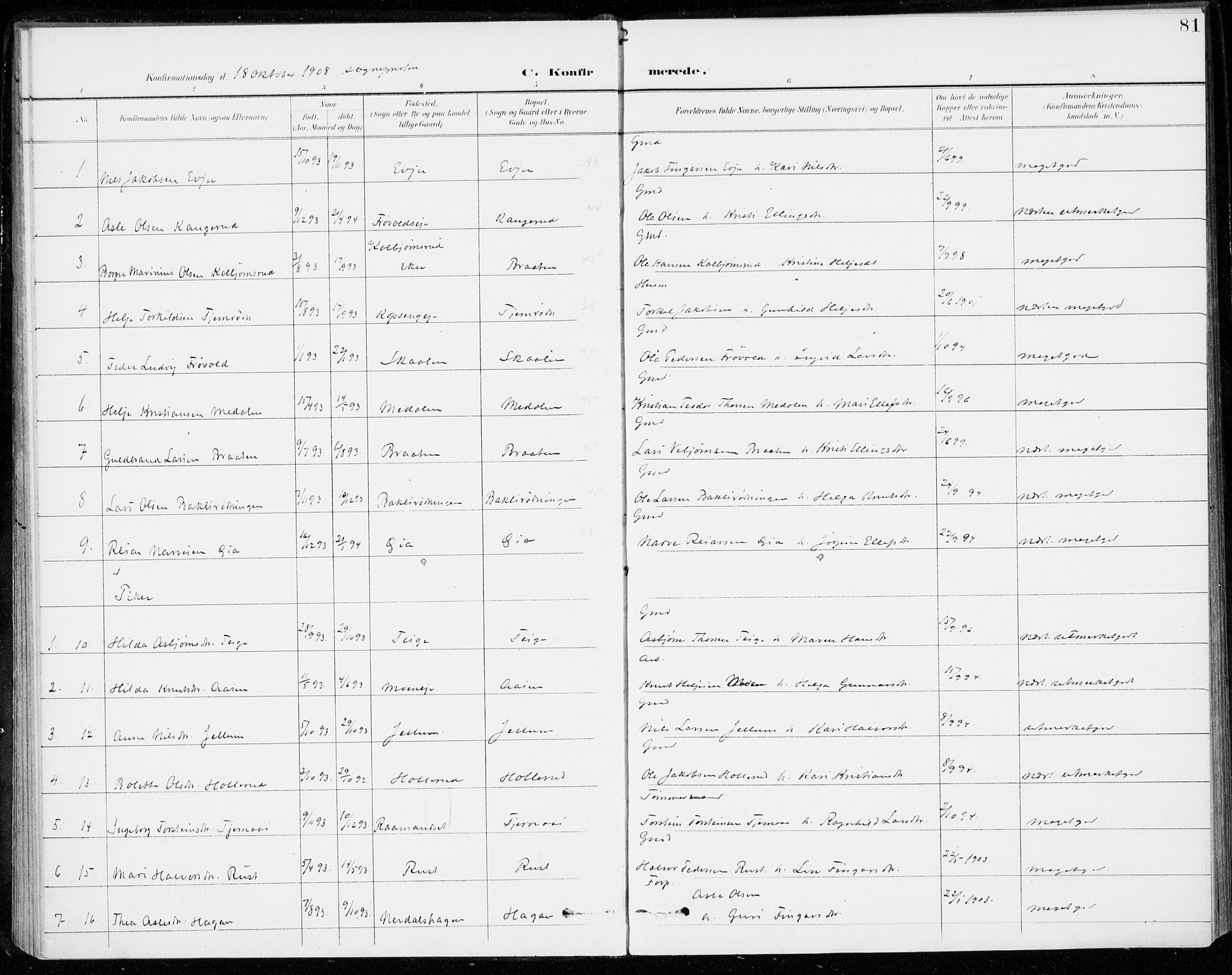 Sigdal kirkebøker, SAKO/A-245/F/Fc/L0002: Parish register (official) no. III 2, 1894-1911, p. 81
