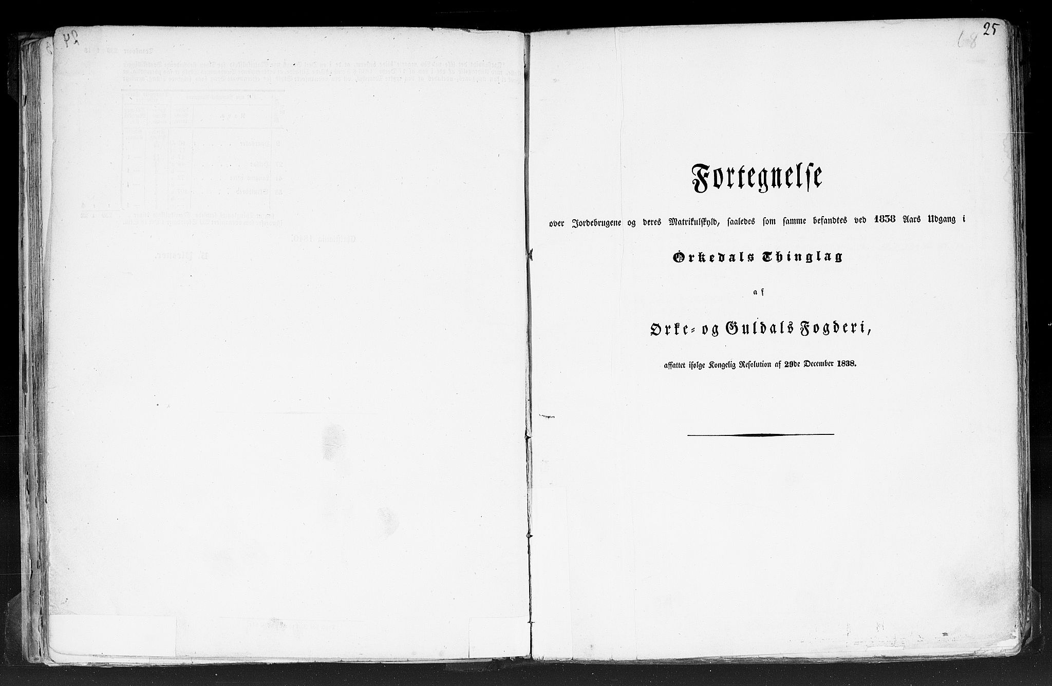 Rygh, AV/RA-PA-0034/F/Fb/L0014: Matrikkelen for 1838 - Søndre Trondhjems amt (Sør-Trøndelag fylke), 1838, p. 25a