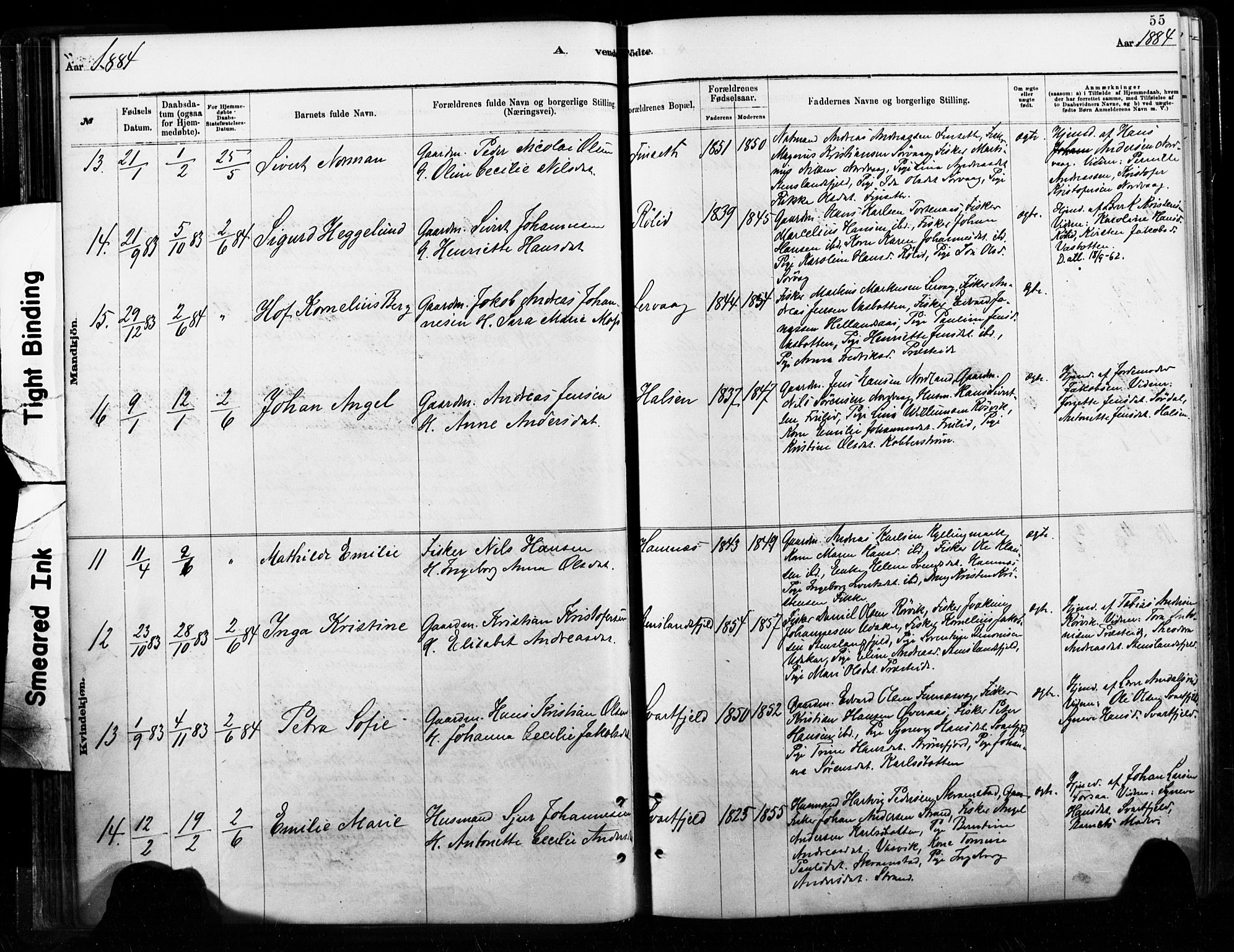 Ministerialprotokoller, klokkerbøker og fødselsregistre - Nordland, AV/SAT-A-1459/859/L0846: Parish register (official) no. 859A06, 1878-1889, p. 55