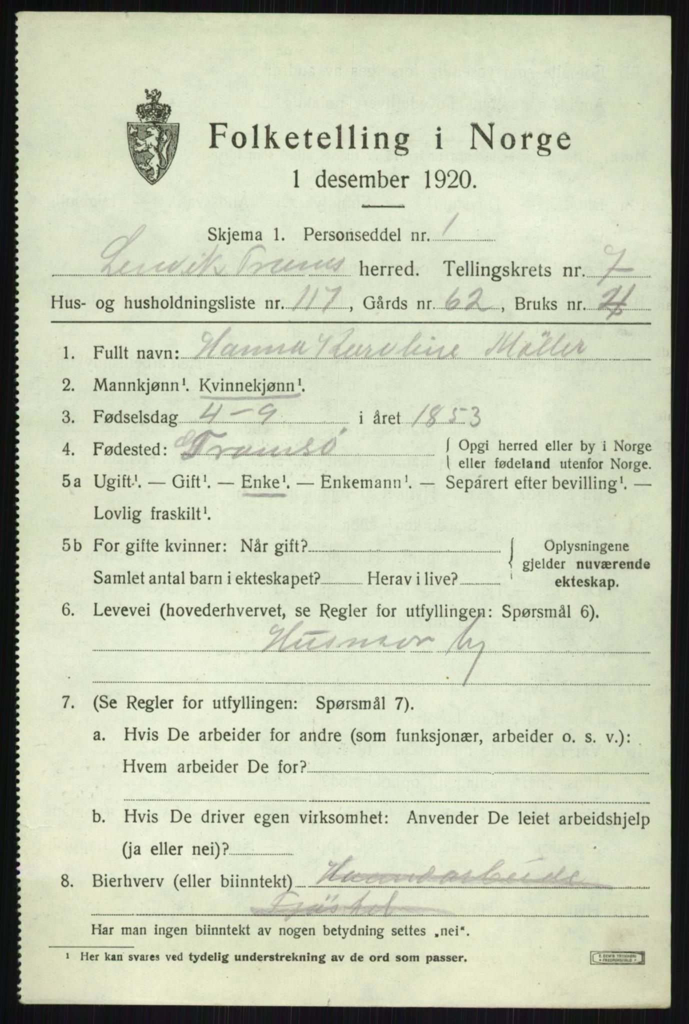 SATØ, 1920 census for Lenvik, 1920, p. 10934