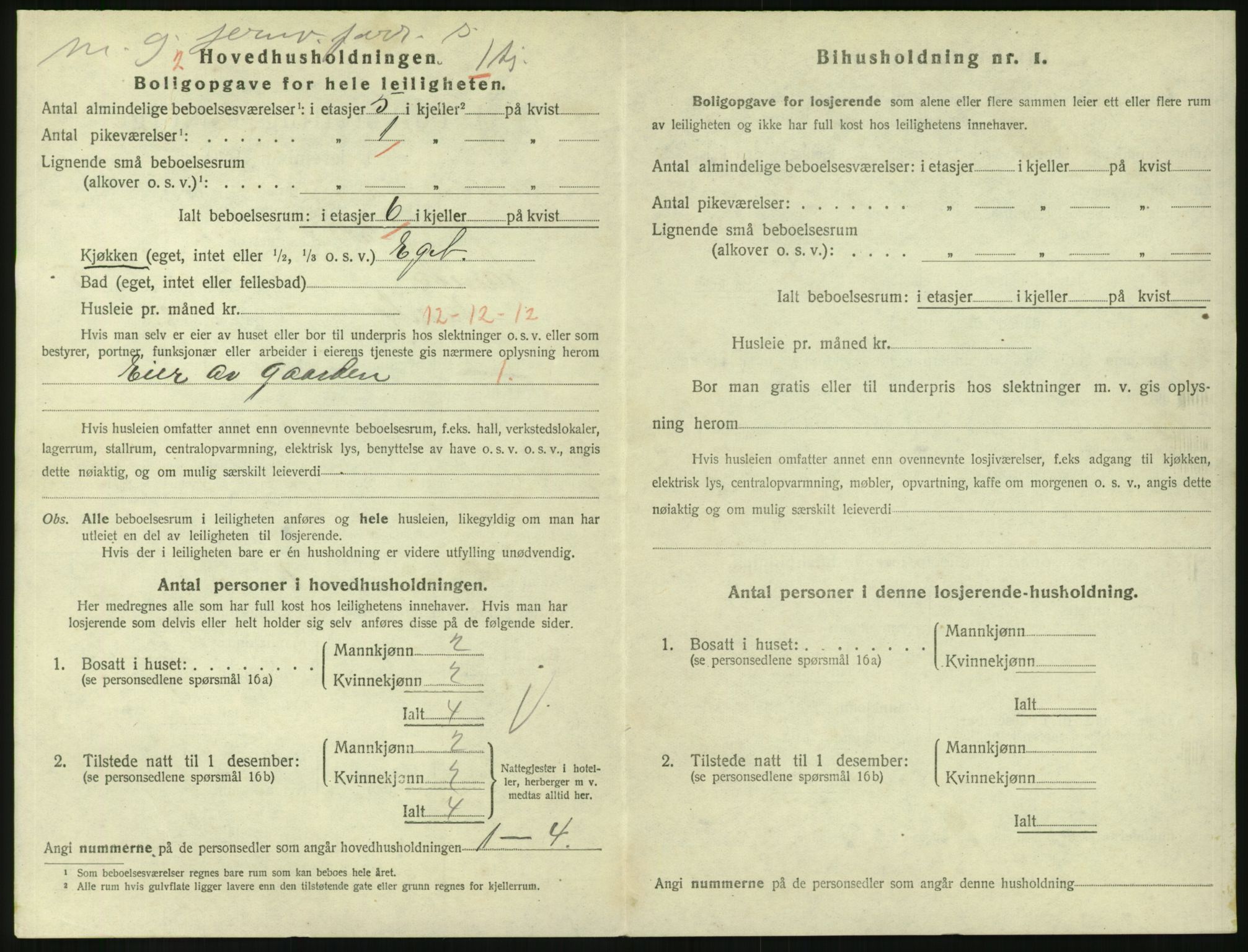 SAKO, 1920 census for Larvik, 1920, p. 5051