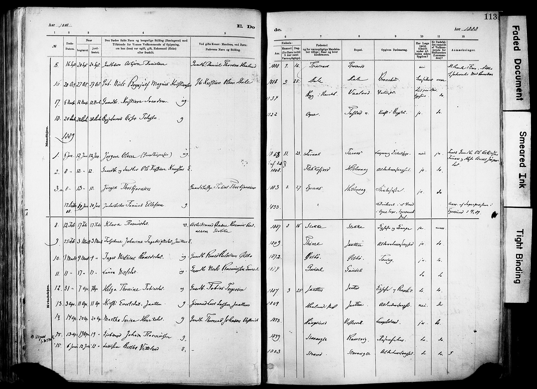 Hetland sokneprestkontor, SAST/A-101826/30/30BA/L0012: Parish register (official) no. A 12, 1882-1912, p. 113