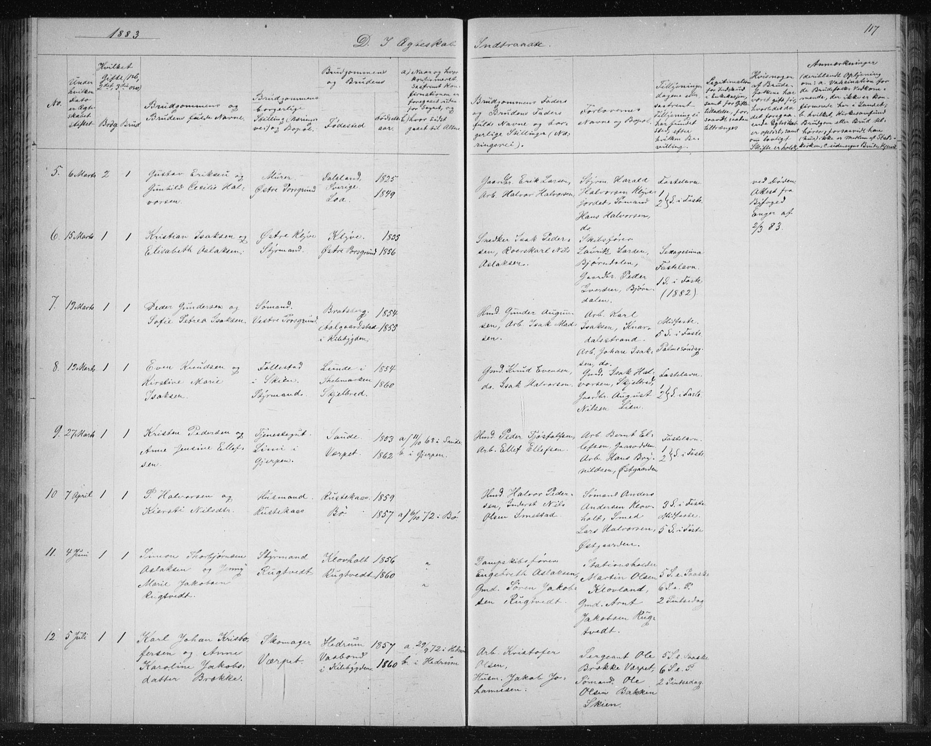 Solum kirkebøker, SAKO/A-306/G/Ga/L0006: Parish register (copy) no. I 6, 1882-1883, p. 117