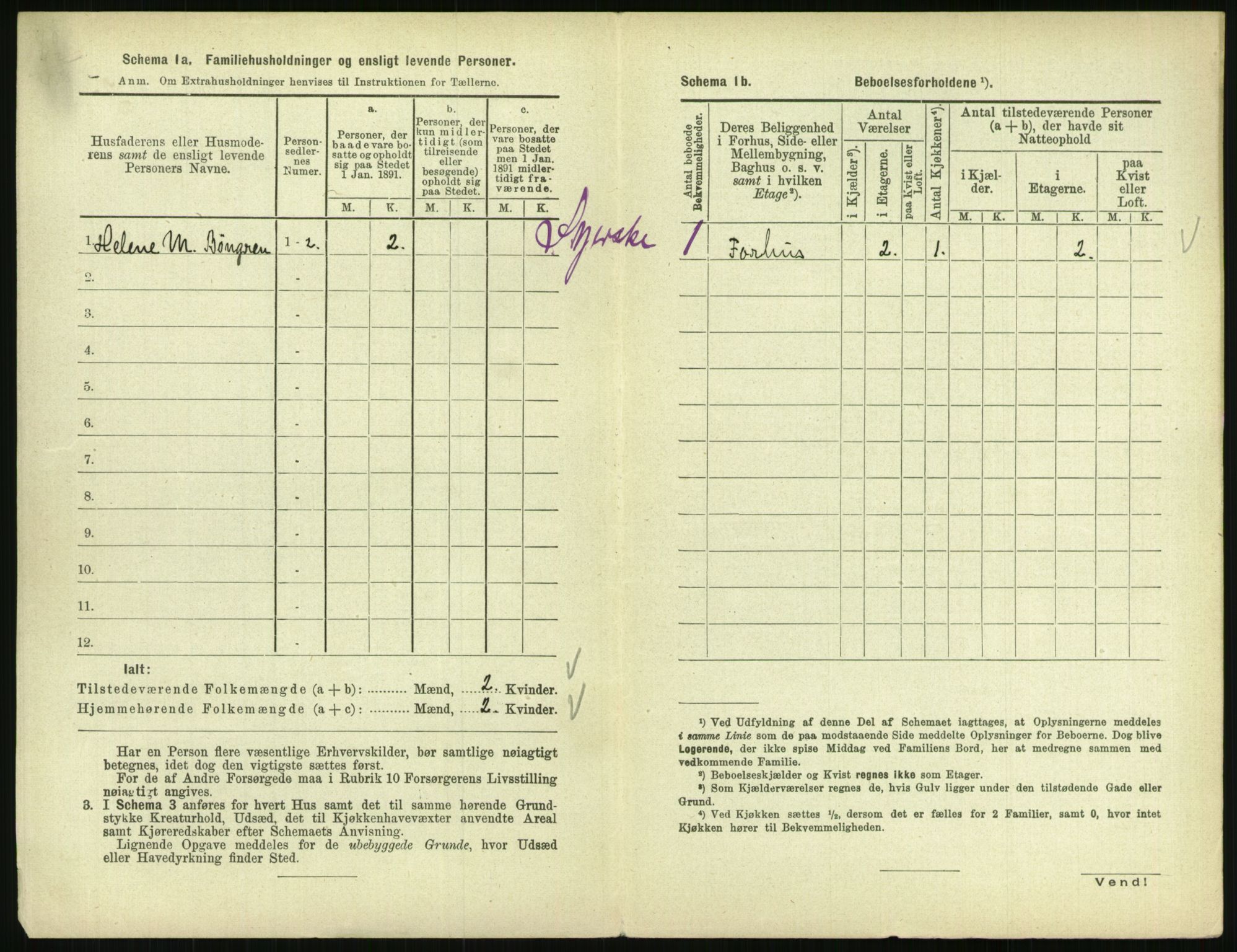 RA, 1891 census for 0801 Kragerø, 1891, p. 877