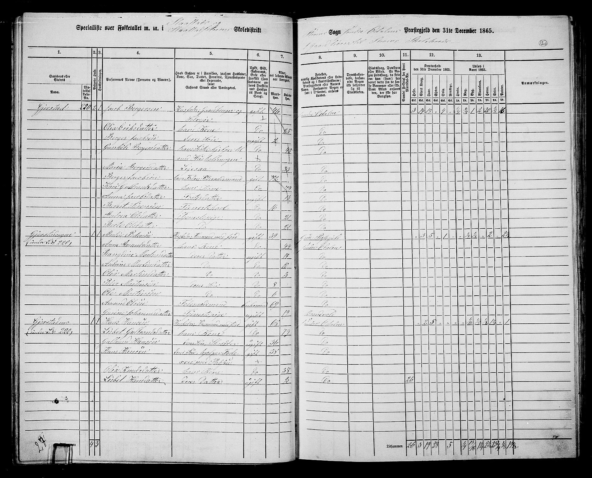 RA, 1865 census for Sør-Odal, 1865, p. 110