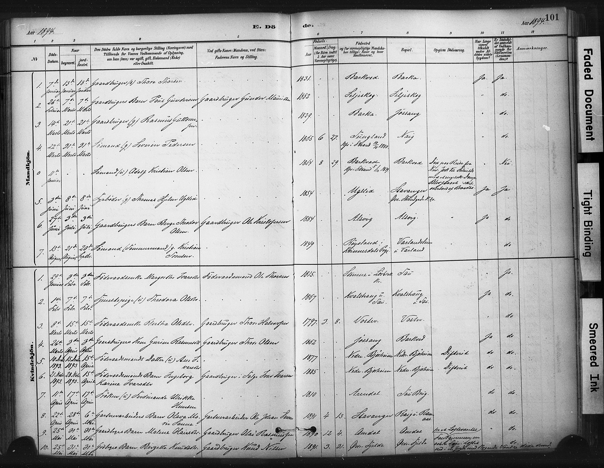 Strand sokneprestkontor, SAST/A-101828/H/Ha/Haa/L0010: Parish register (official) no. A 10, 1882-1929, p. 101