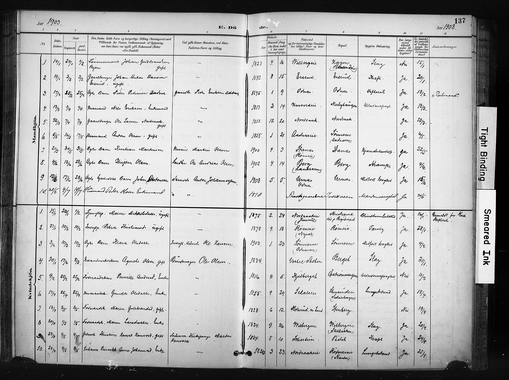 Søndre Land prestekontor, AV/SAH-PREST-122/K/L0004: Parish register (official) no. 4, 1895-1904, p. 137