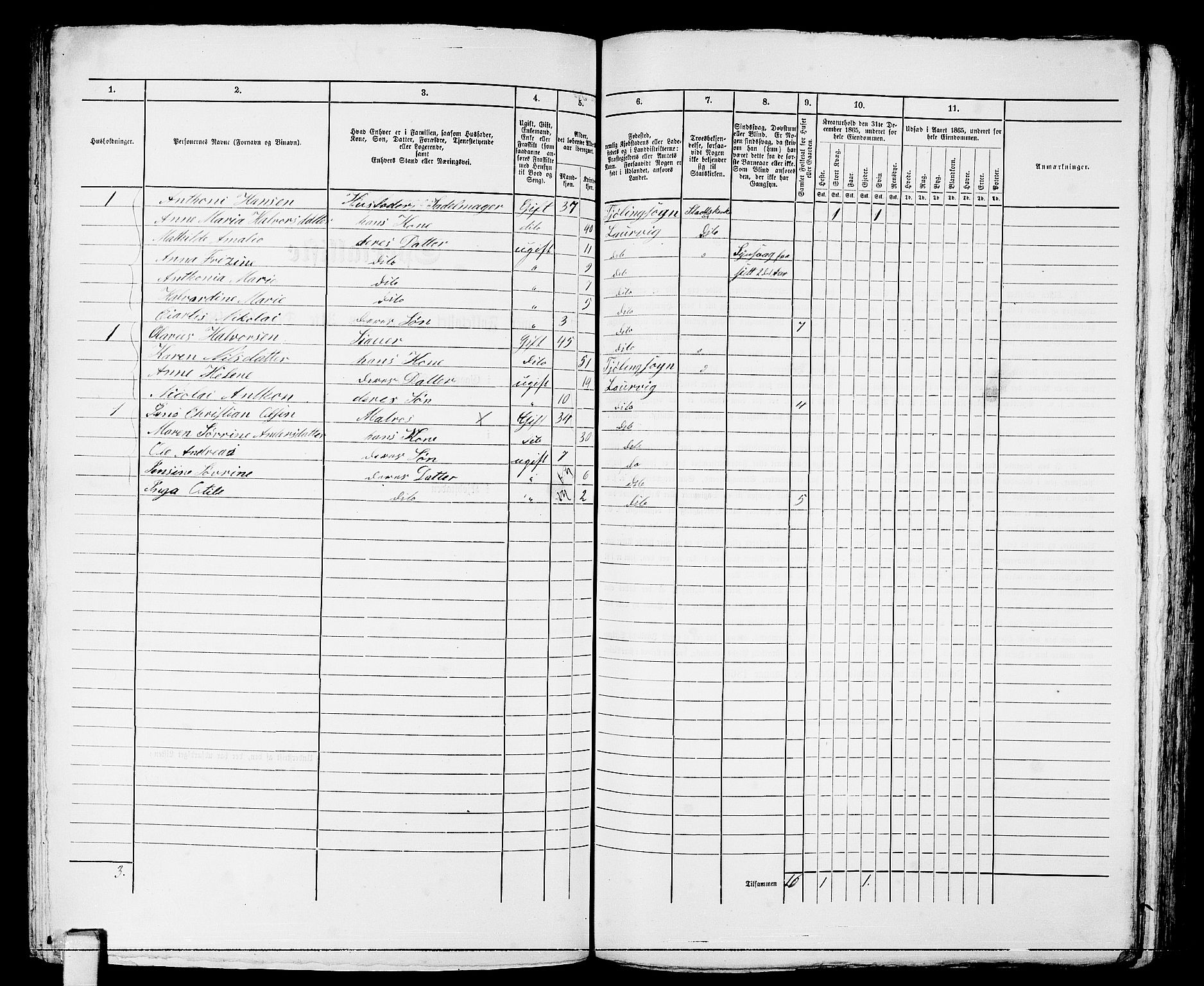 RA, 1865 census for Larvik, 1865, p. 250