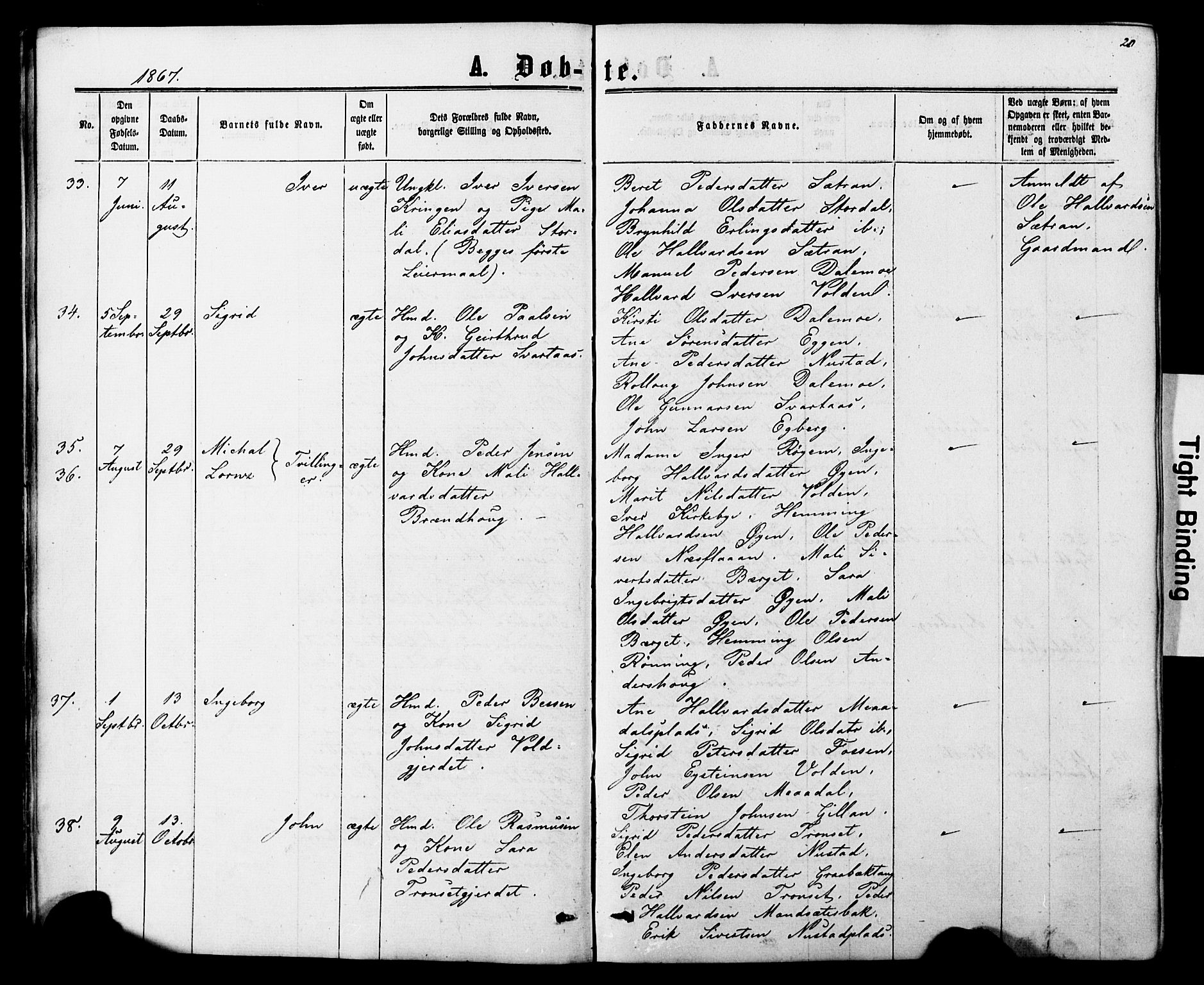 Ministerialprotokoller, klokkerbøker og fødselsregistre - Nord-Trøndelag, SAT/A-1458/706/L0049: Parish register (copy) no. 706C01, 1864-1895, p. 20