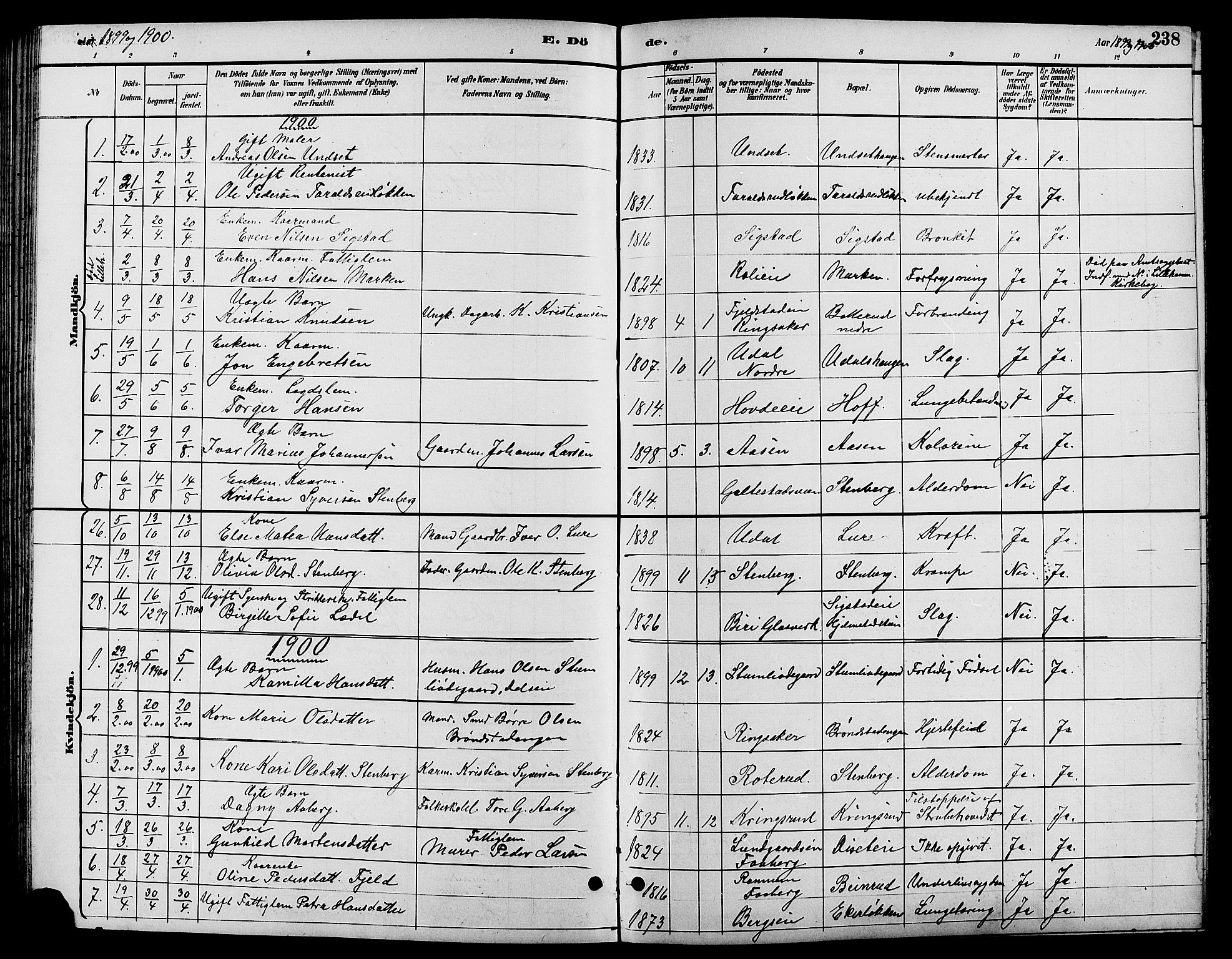 Biri prestekontor, SAH/PREST-096/H/Ha/Hab/L0004: Parish register (copy) no. 4, 1892-1909, p. 238