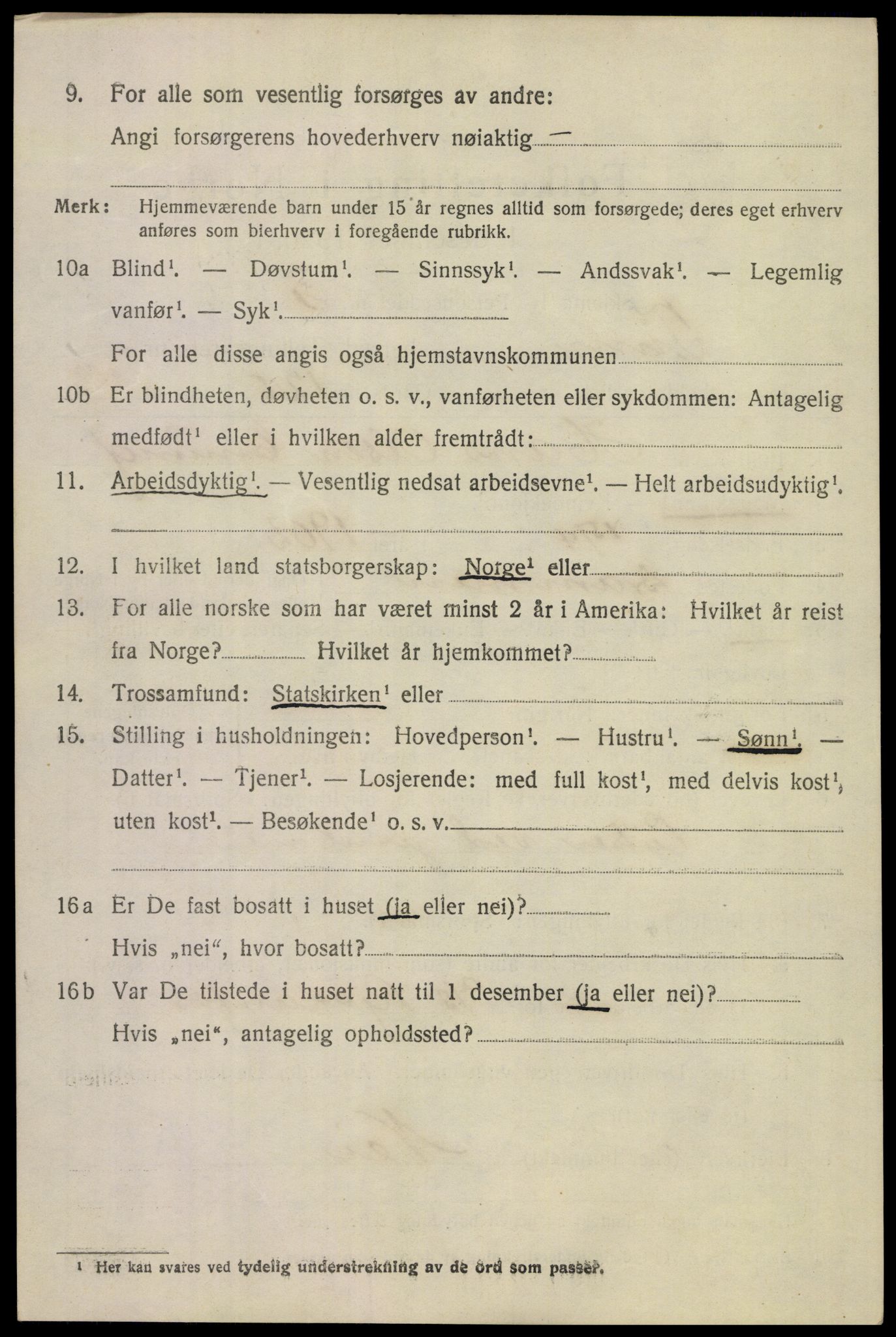 SAKO, 1920 census for Tinn, 1920, p. 17329