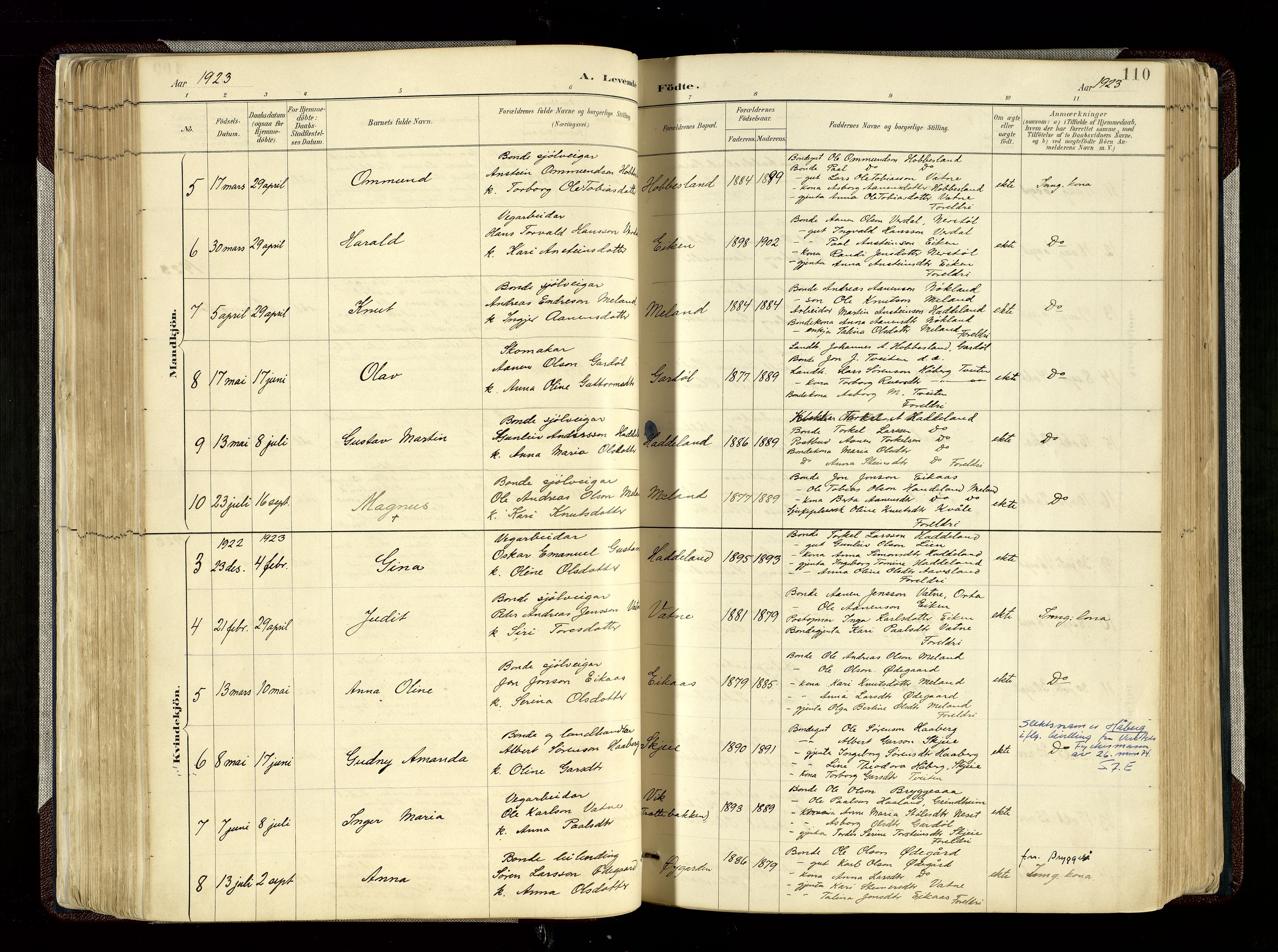 Hægebostad sokneprestkontor, AV/SAK-1111-0024/F/Fa/Fab/L0004: Parish register (official) no. A 4, 1887-1929, p. 110