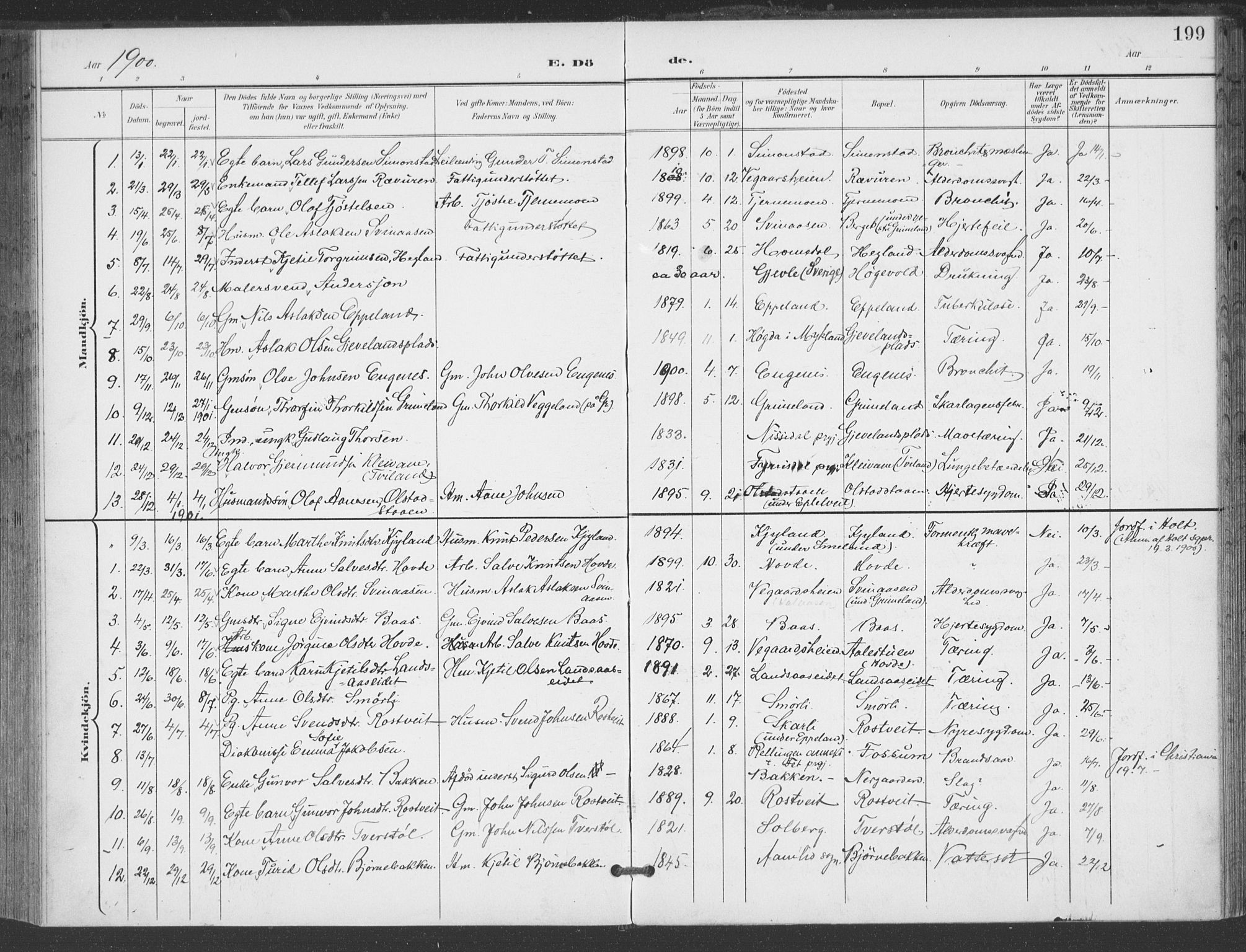 Åmli sokneprestkontor, SAK/1111-0050/F/Fa/Fac/L0012: Parish register (official) no. A 12, 1900-1914, p. 199