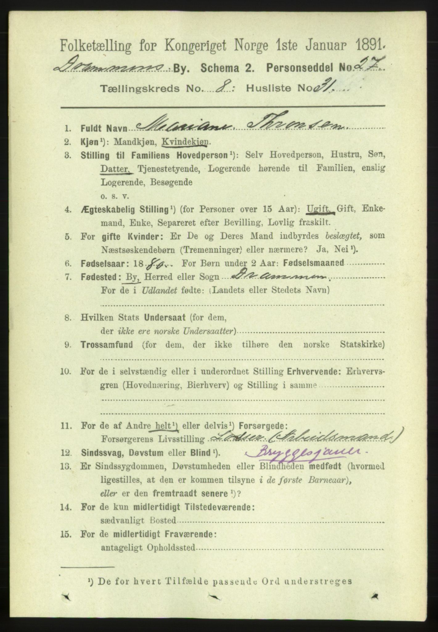 RA, 1891 census for 0602 Drammen, 1891, p. 7187