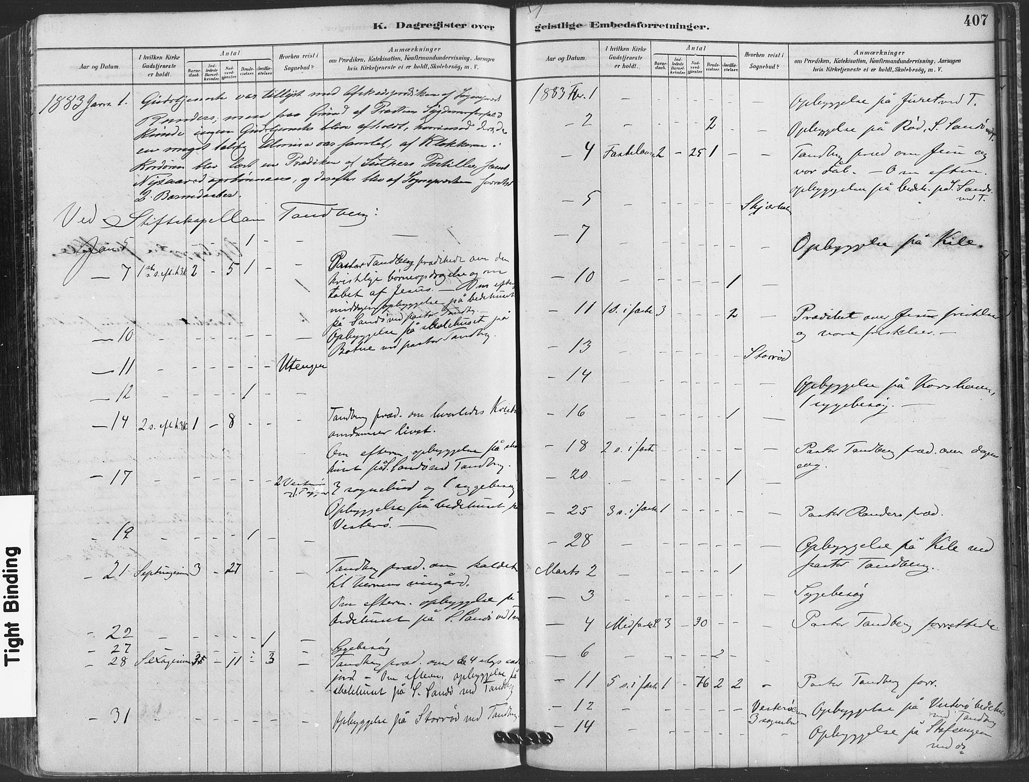 Hvaler prestekontor Kirkebøker, AV/SAO-A-2001/F/Fa/L0008: Parish register (official) no. I 8, 1878-1895, p. 407