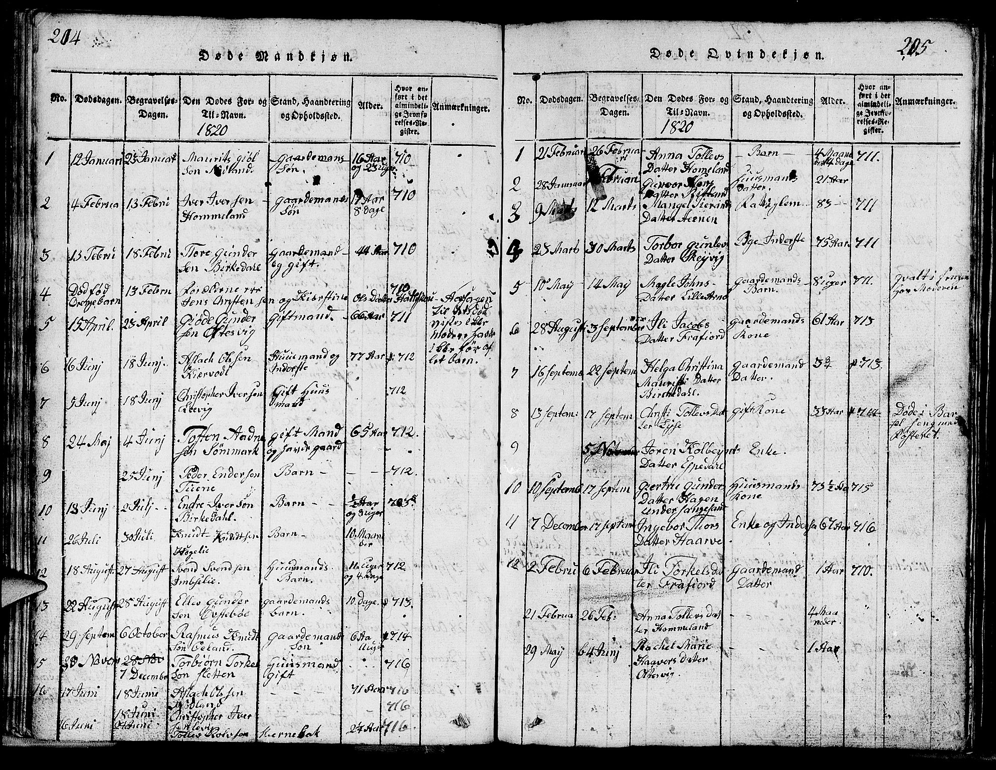 Strand sokneprestkontor, SAST/A-101828/H/Ha/Hab/L0002: Parish register (copy) no. B 2, 1816-1854, p. 204-205