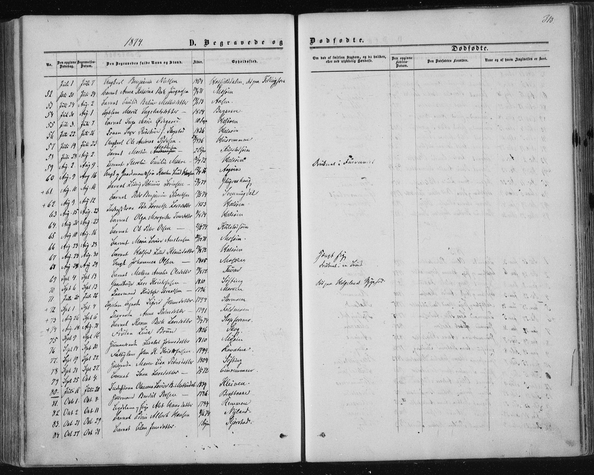 Ministerialprotokoller, klokkerbøker og fødselsregistre - Nordland, SAT/A-1459/820/L0294: Parish register (official) no. 820A15, 1866-1879, p. 313