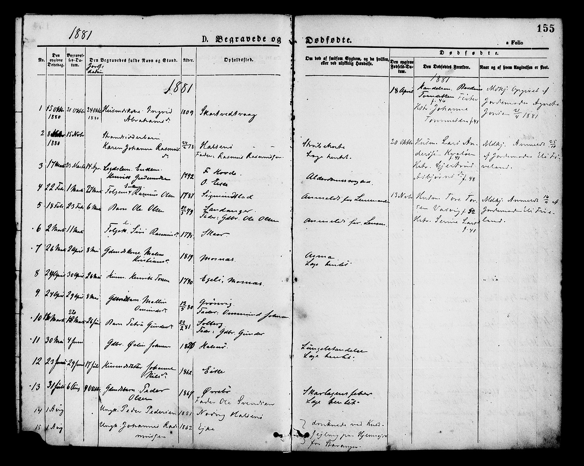 Hjelmeland sokneprestkontor, AV/SAST-A-101843/01/IV/L0013: Parish register (official) no. A 13, 1872-1886, p. 155