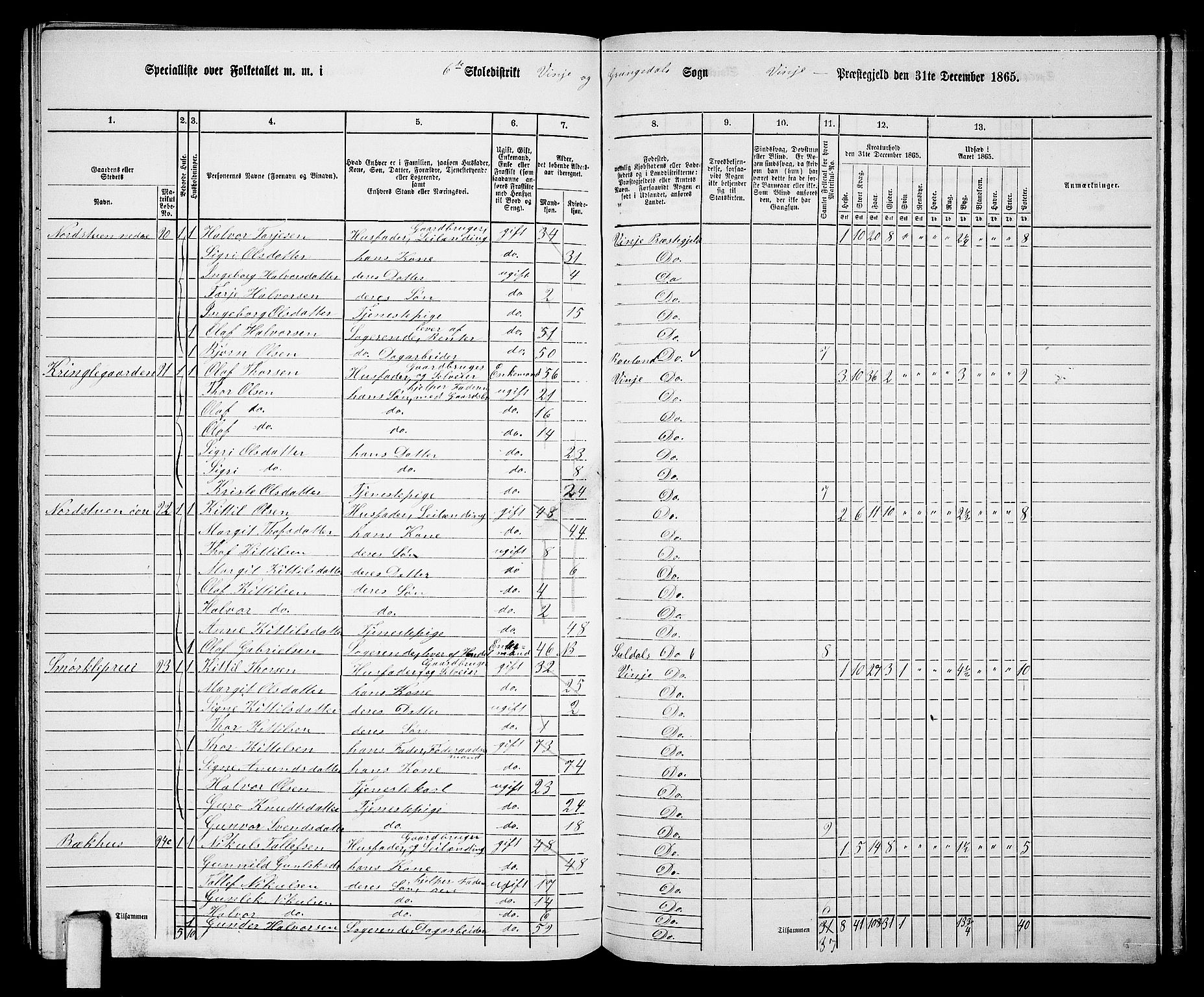 RA, 1865 census for Vinje, 1865, p. 58