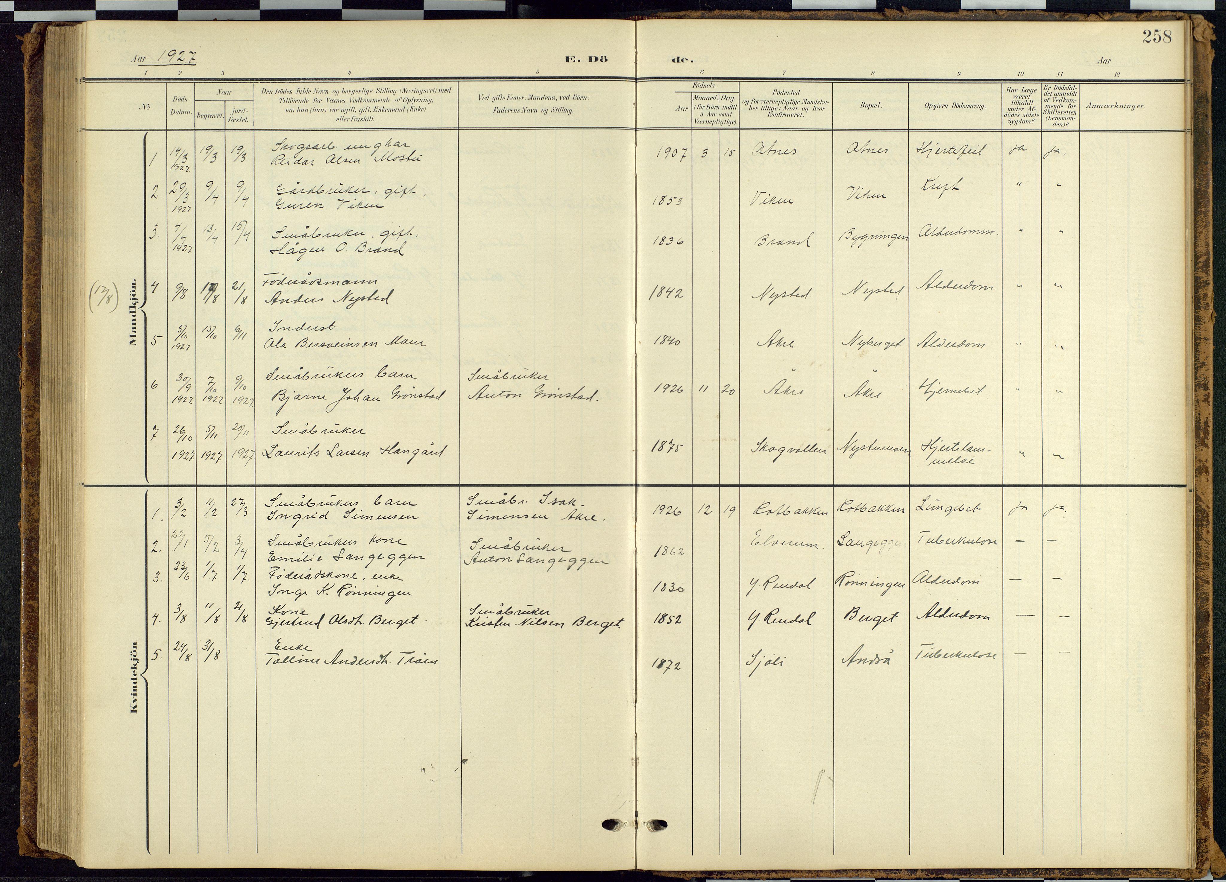 Rendalen prestekontor, SAH/PREST-054/H/Ha/Hab/L0010: Parish register (copy) no. 10, 1903-1940, p. 258