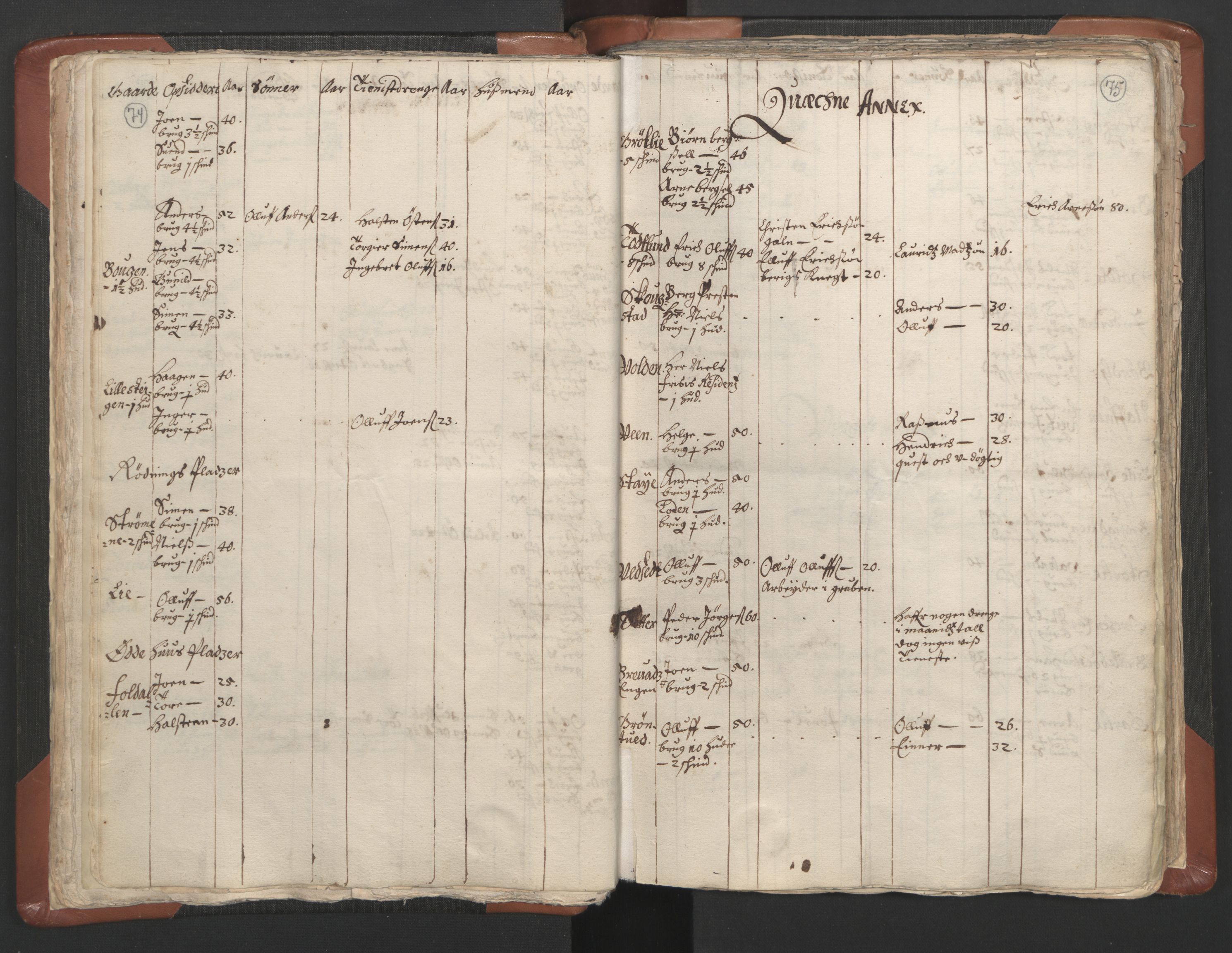 RA, Vicar's Census 1664-1666, no. 5: Hedmark deanery, 1664-1666, p. 74-75
