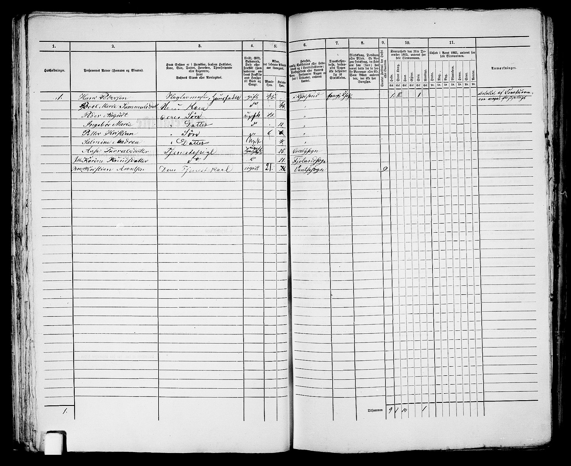 RA, 1865 census for Kristiansand, 1865, p. 1064