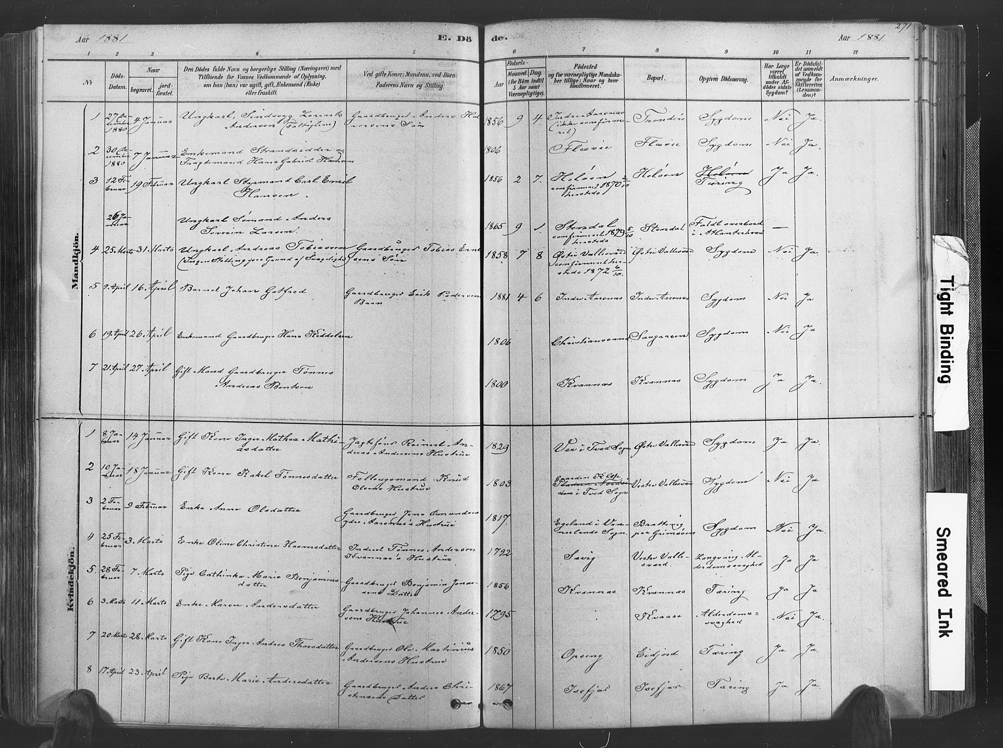 Høvåg sokneprestkontor, SAK/1111-0025/F/Fa/L0005: Parish register (official) no. A 5, 1878-1893, p. 271